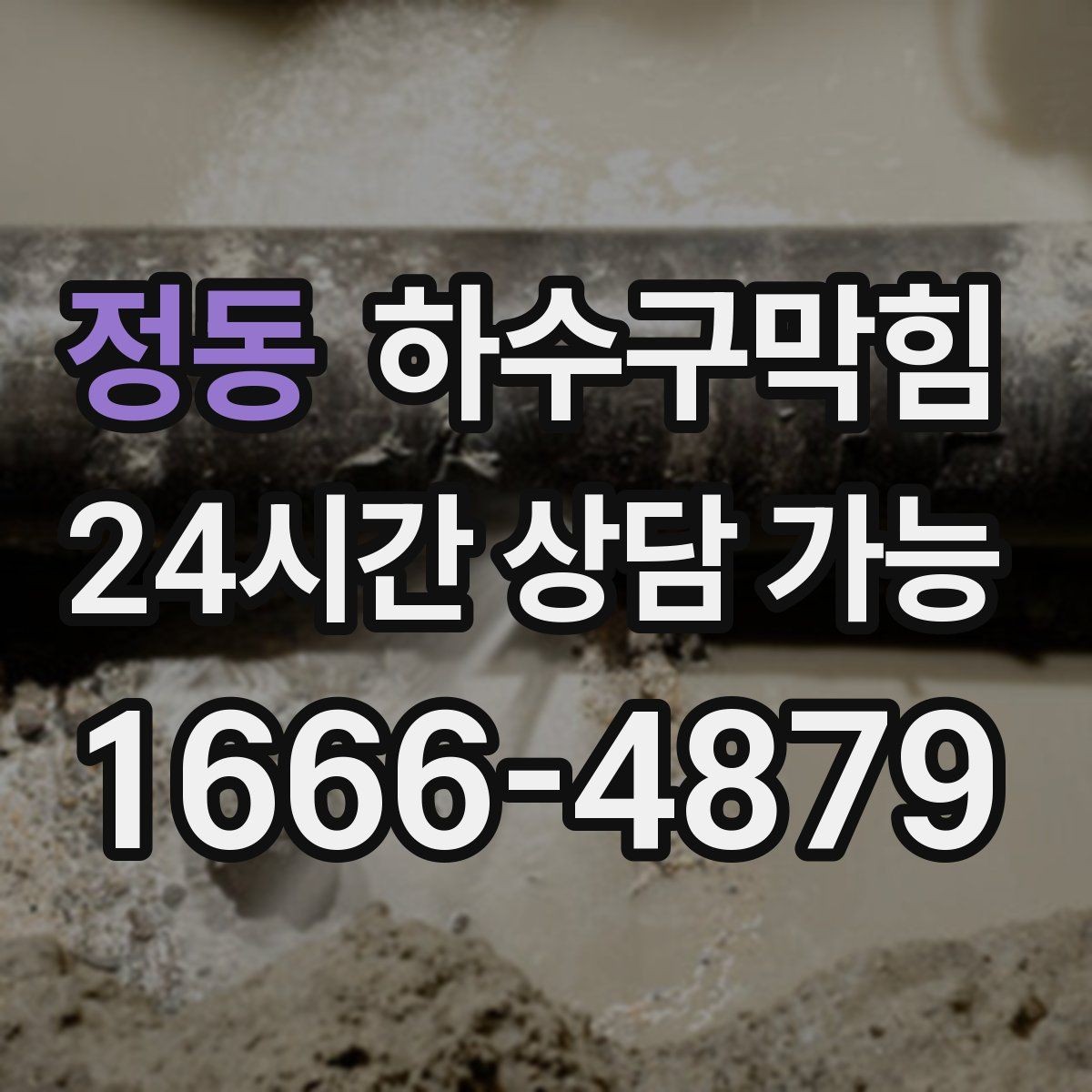 정동 하수구막힘 택배 박스 바닥이 눅눅했던 오후
