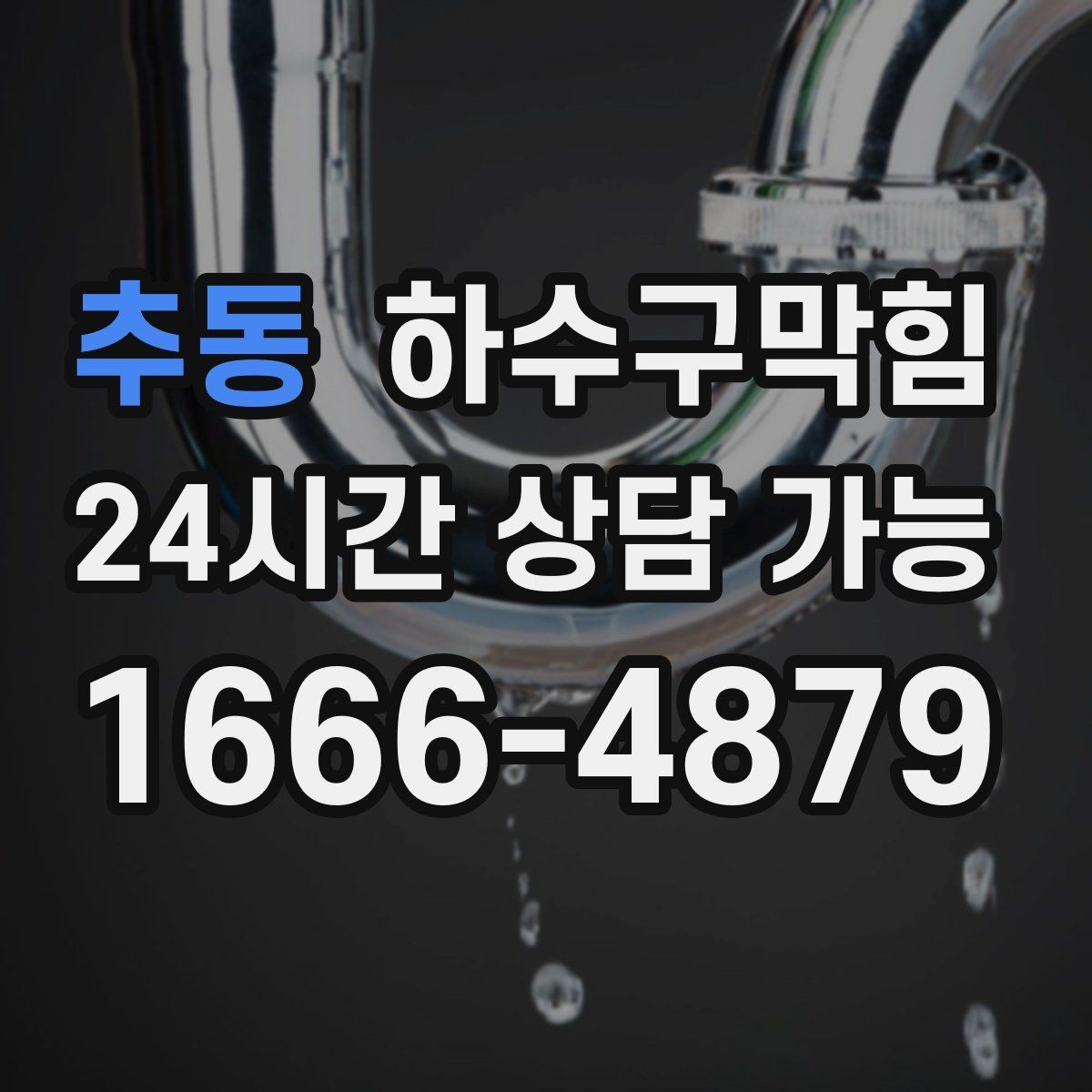 추동 하수구막힘 판매대 나무 결이 뒤틀리던 여름