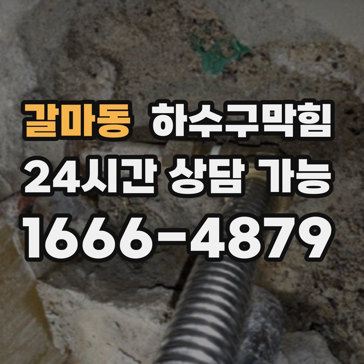 갈마동 하수구막힘 장마가 끝나도 이어진 불청객의 정체