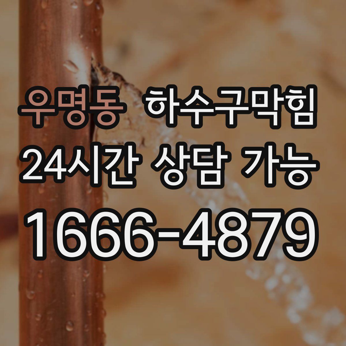 우명동 하수구막힘