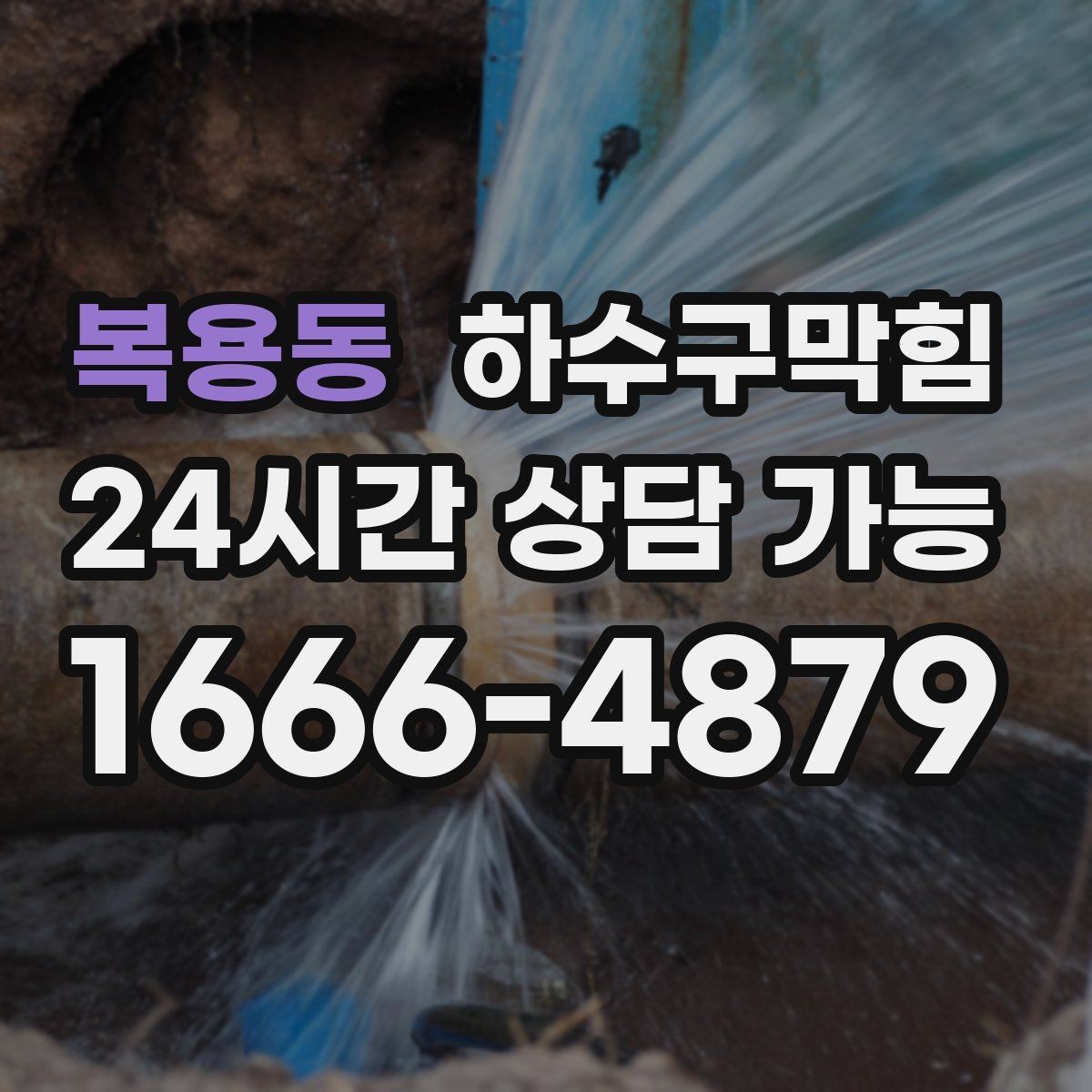 복용동 하수구막힘 카페 화장실역류가 안내문을 불렀던 사연
