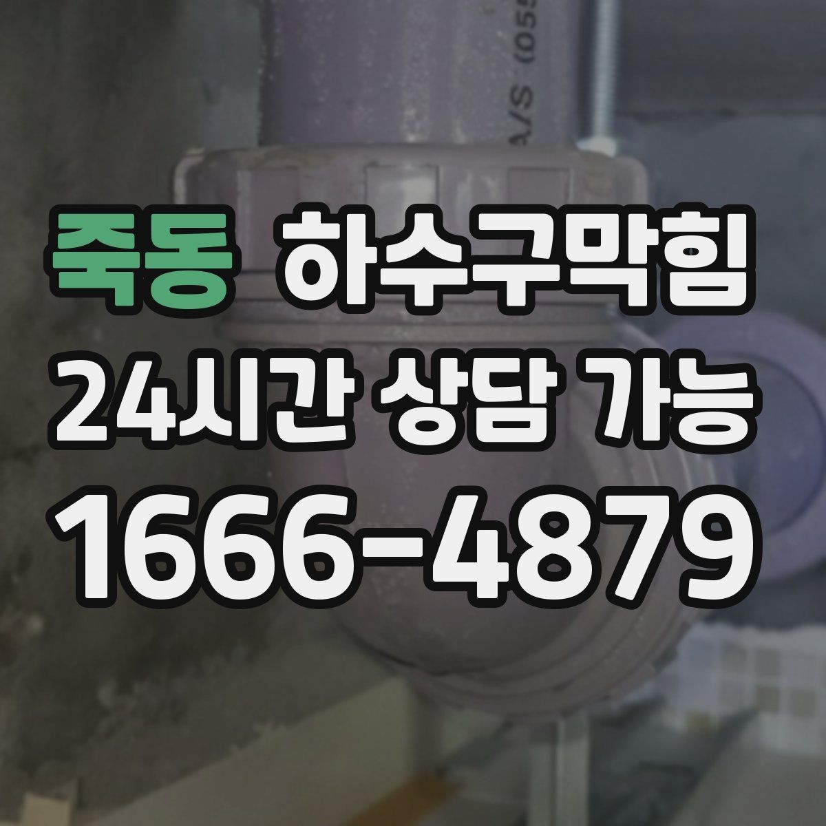 죽동 하수구막힘 낡은 배수관과 새 싱크의 미묘한 충돌