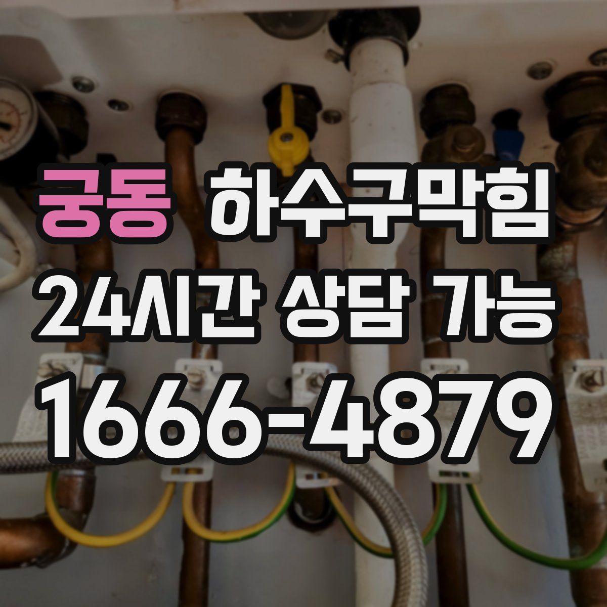 궁동 하수구막힘