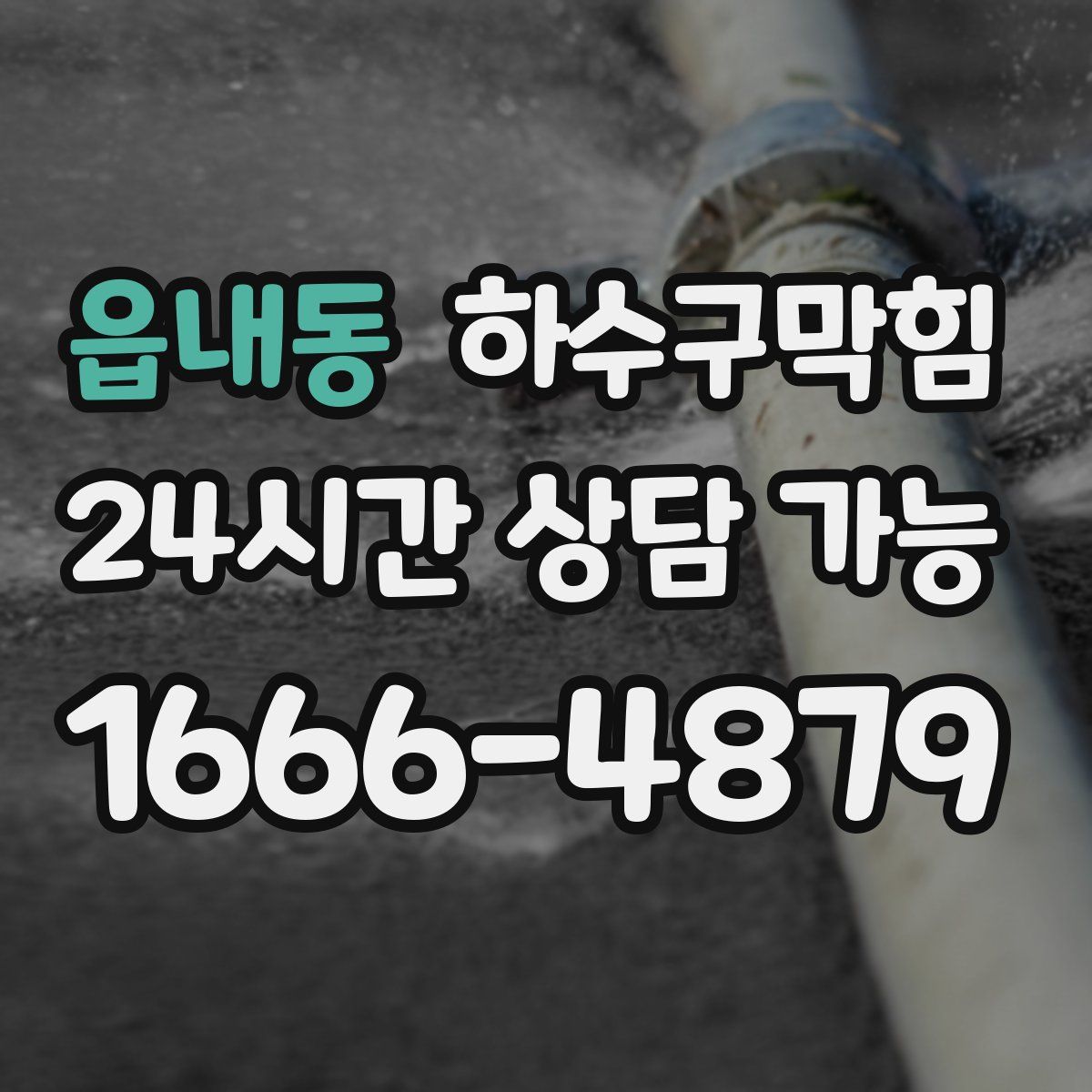 읍내동 하수구막힘