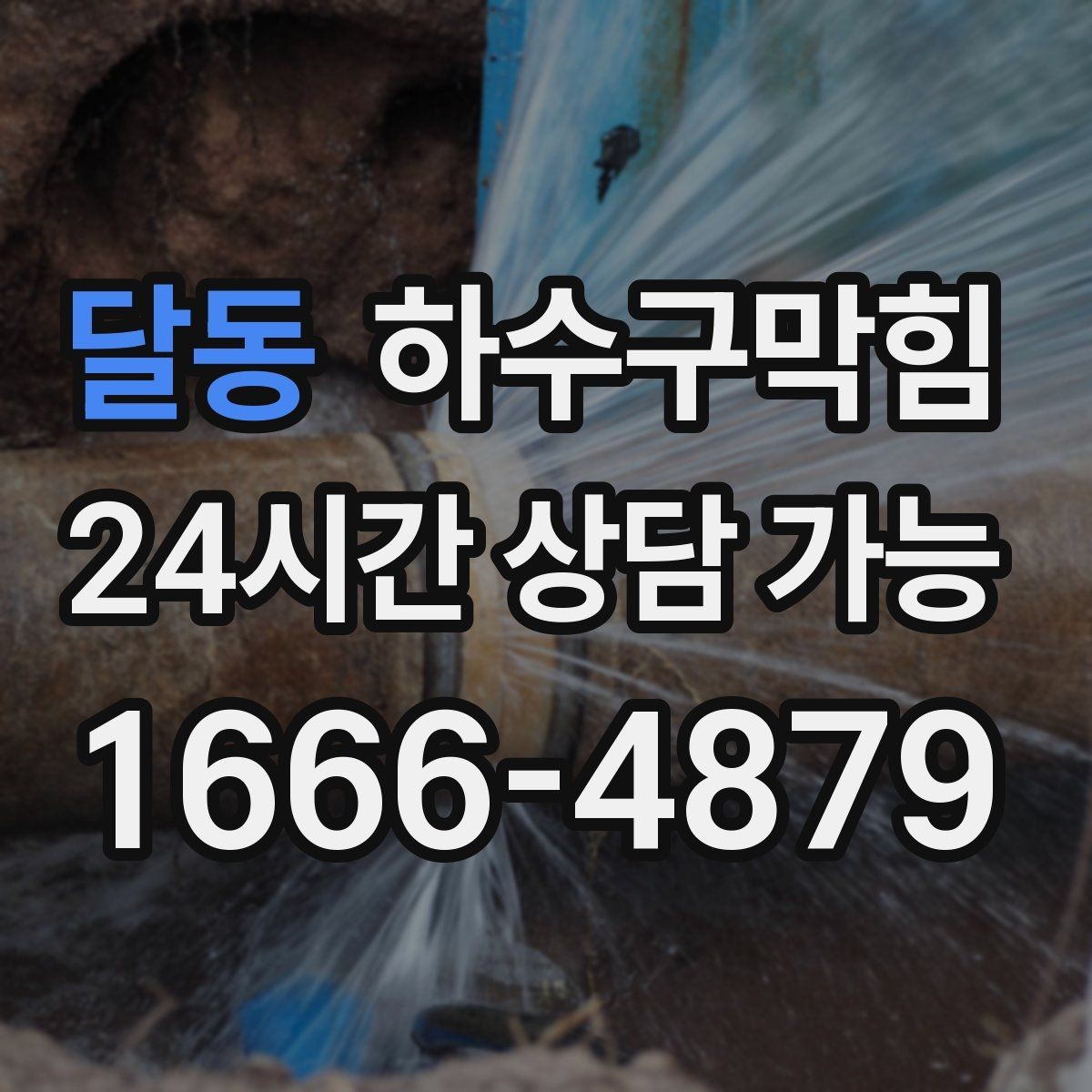 달동 하수구막힘 오피스 커피머신이 멈춘 오전