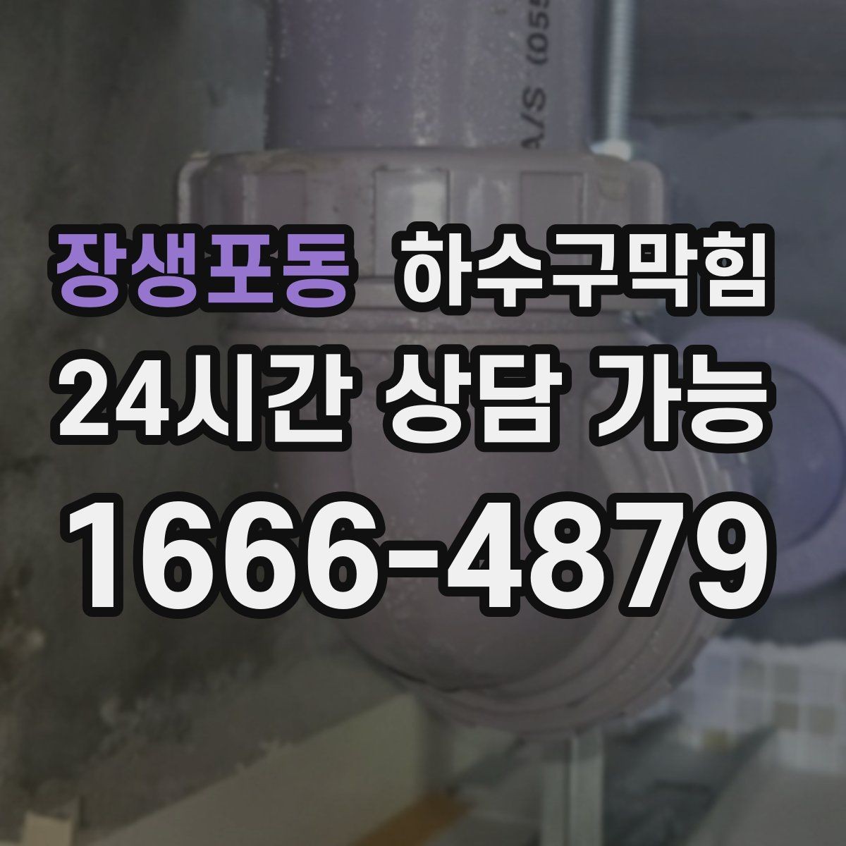 장생포동 하수구막힘 바닥 트랩 수봉 저하를 의심해야 할 때