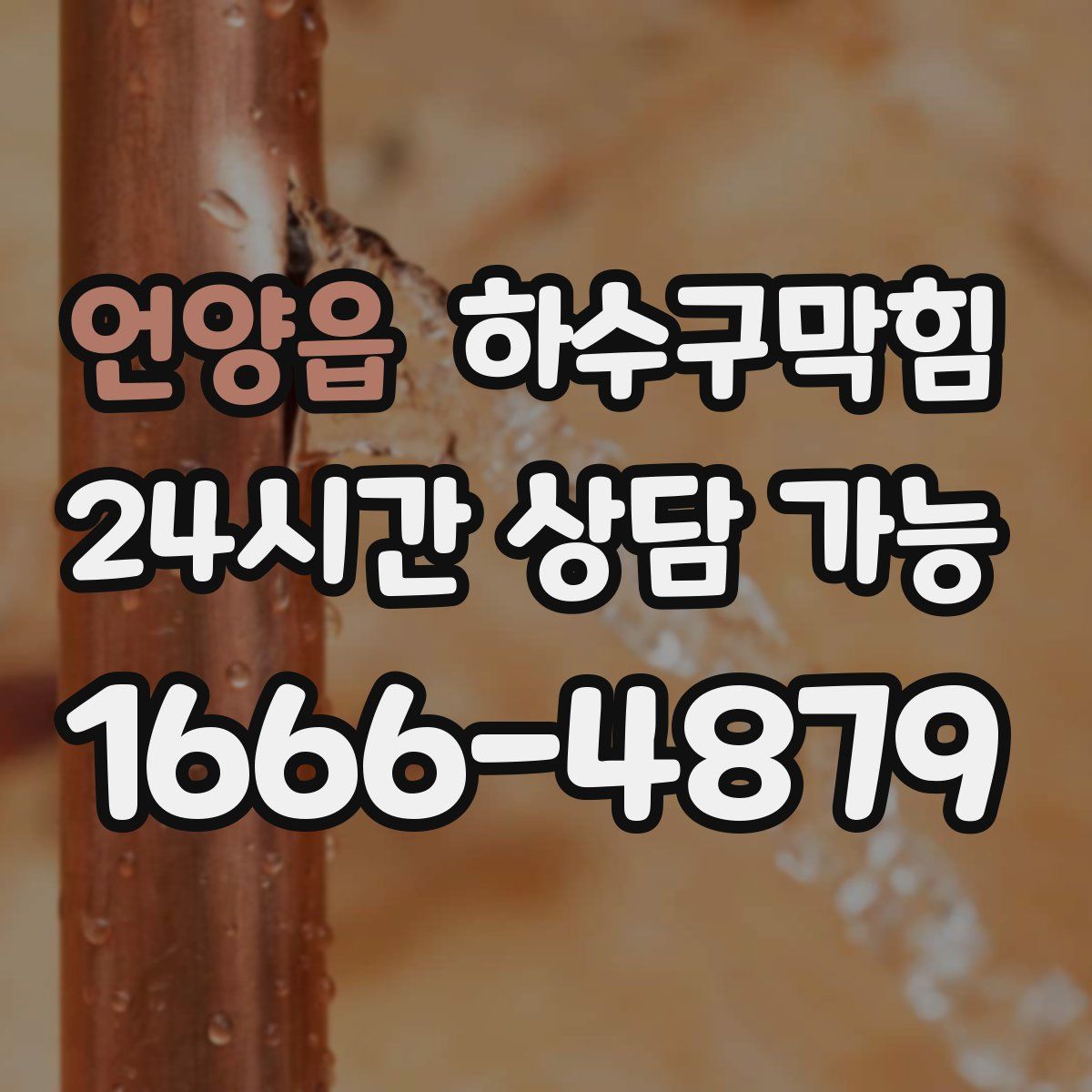 언양읍 하수구막힘