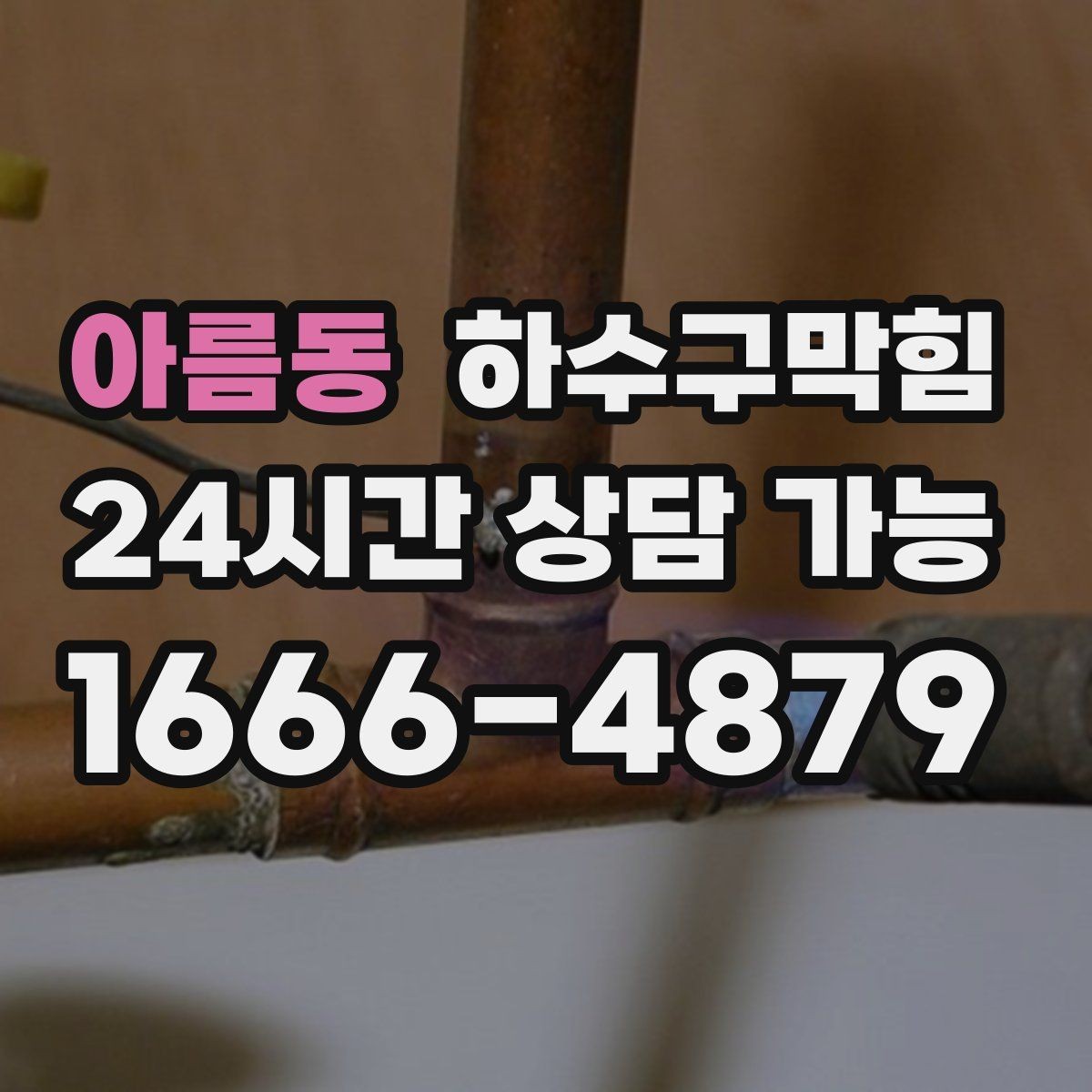 아름동 하수구막힘 제주 강원 지역 방문 일정
