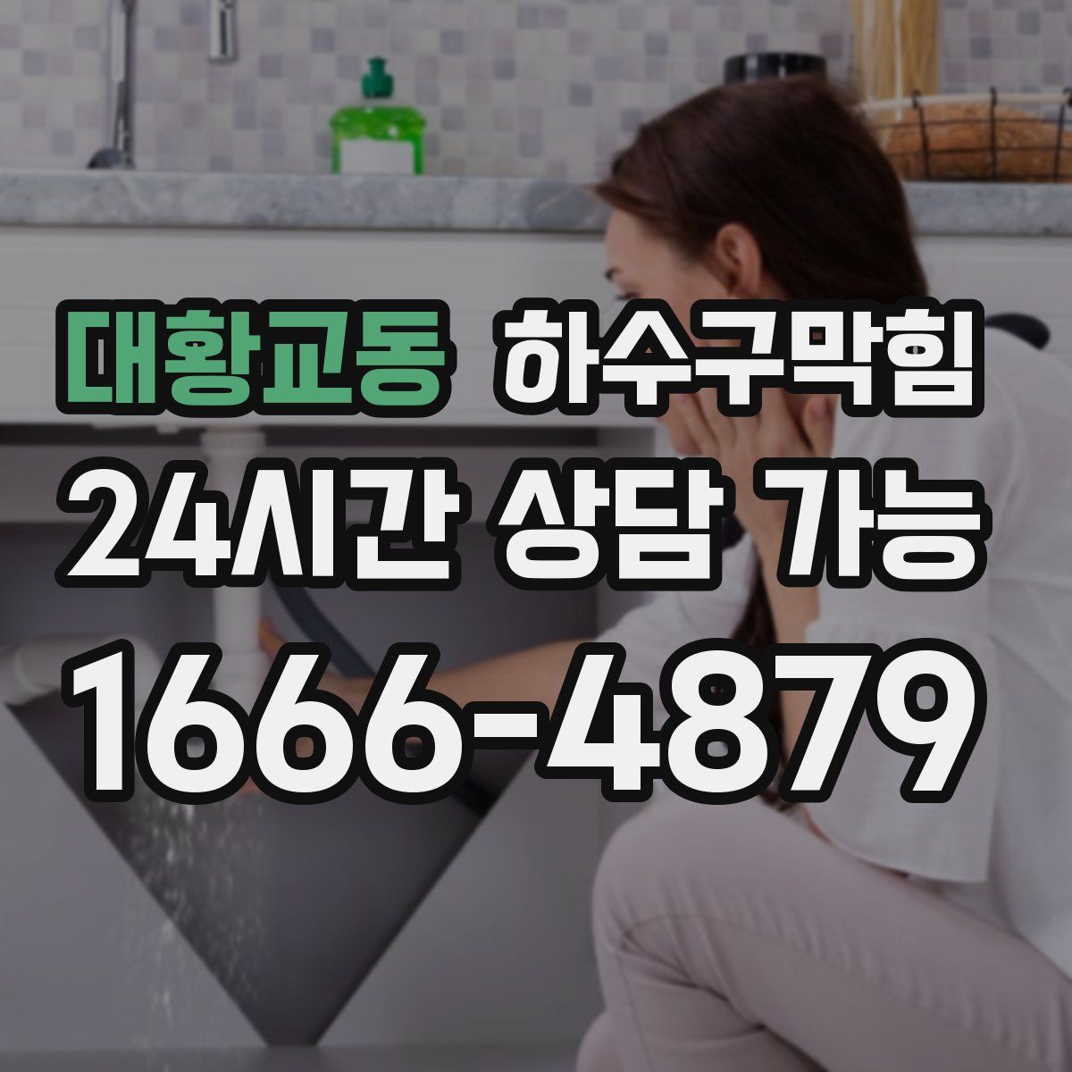 대황교동 하수구막힘