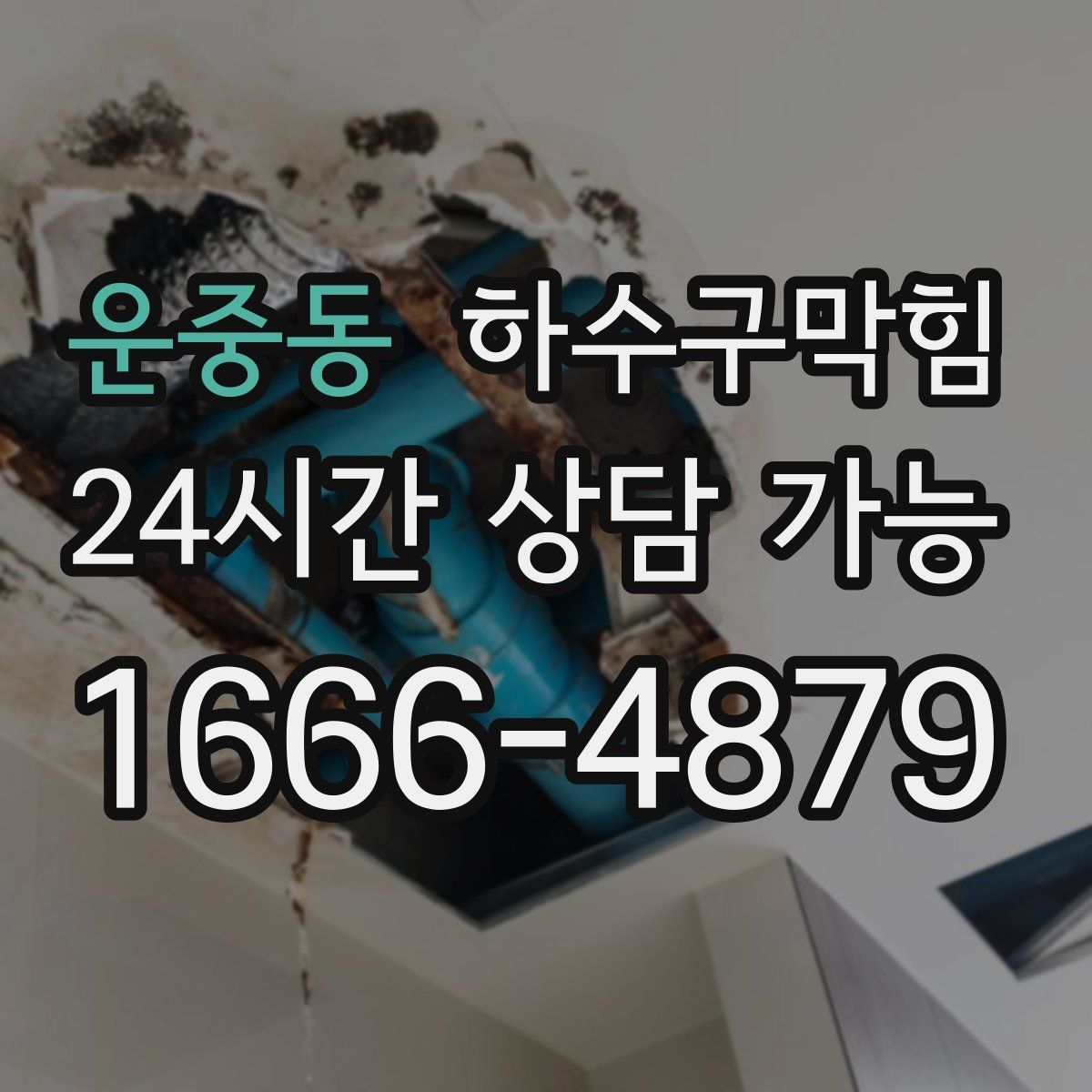 운중동 하수구막힘