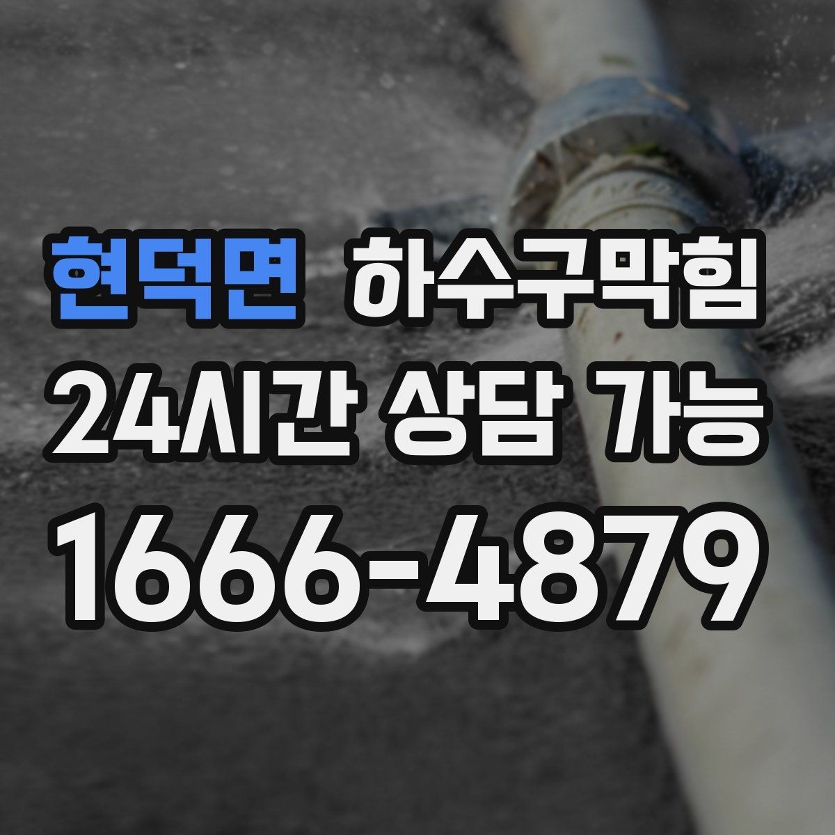 현덕면 하수구막힘 빌라 화장실역류로 택배 문자가 지연된 사연
