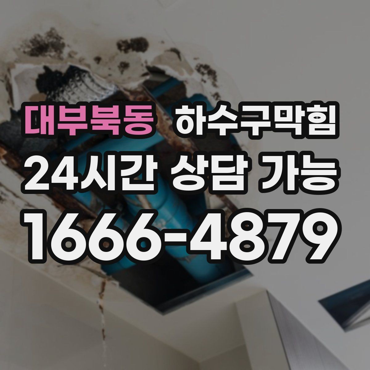 대부북동 하수구막힘 미용실 변기막힘이 거울 앞 대화를 멈춘 순간