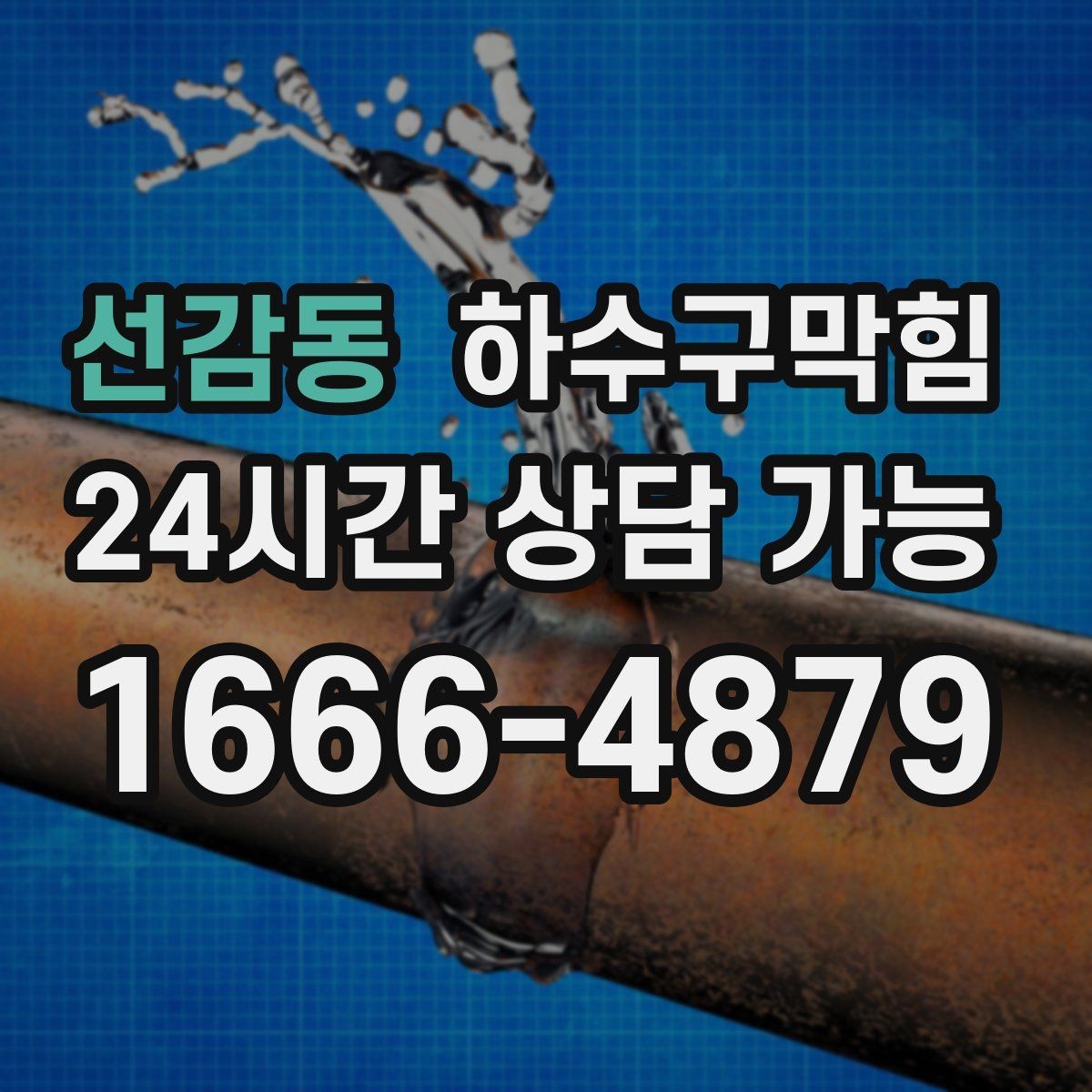 선감동 하수구막힘 호텔 객실 민원을 줄이는 관리 포인트