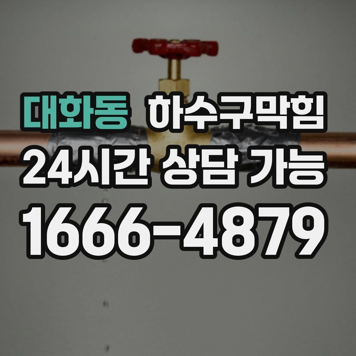 대화동 하수구막힘 사다리 한 칸 올라가 보니 보이던 것들