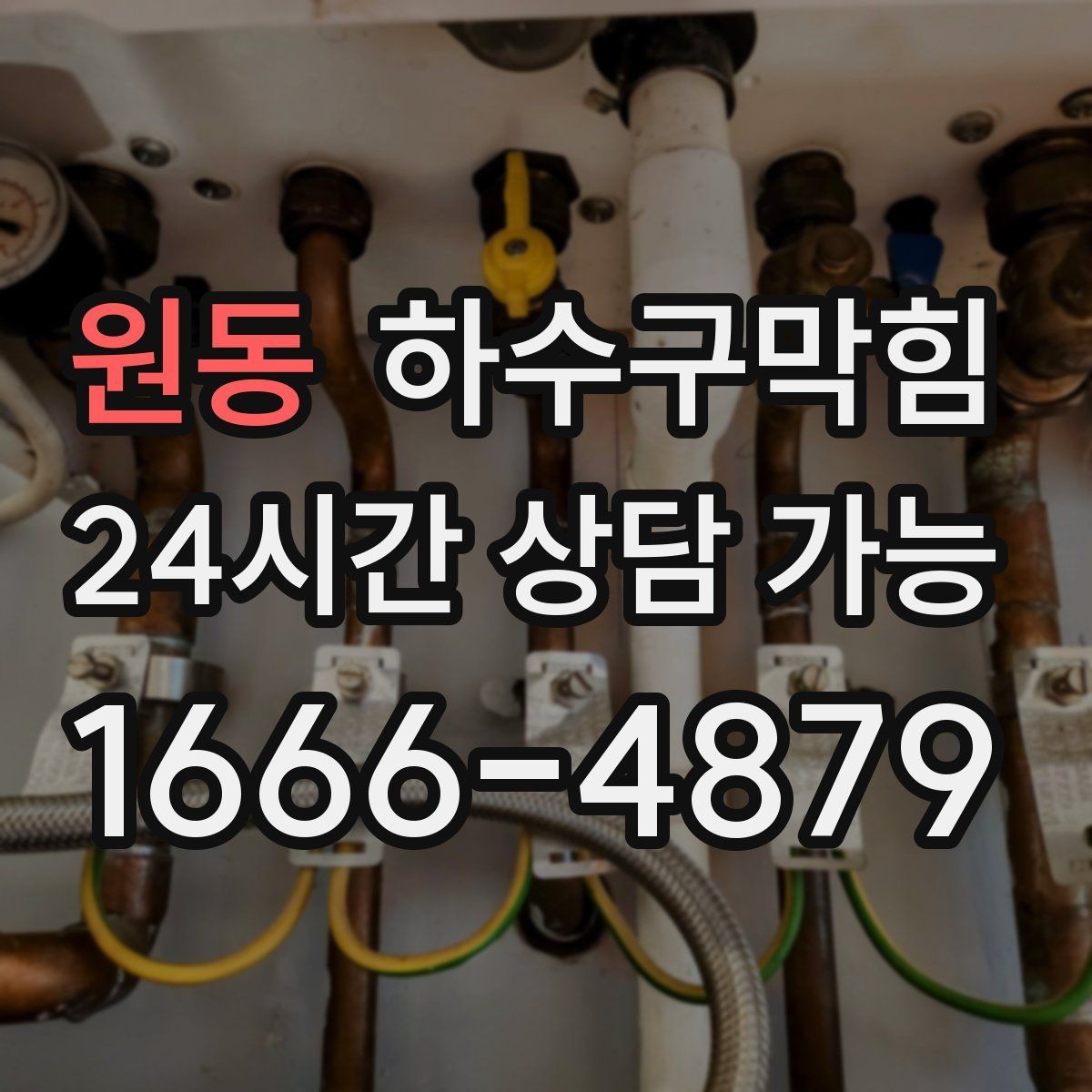 원동 하수구막힘 캣타워 아래 모인 물자국의 의미