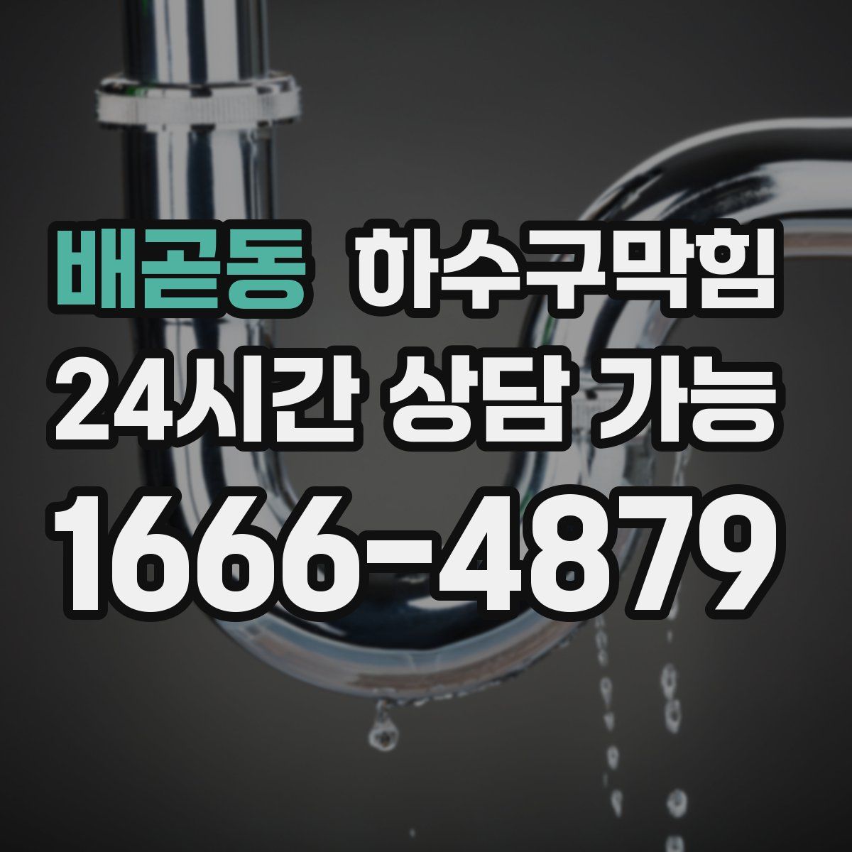 배곧동 하수구막힘