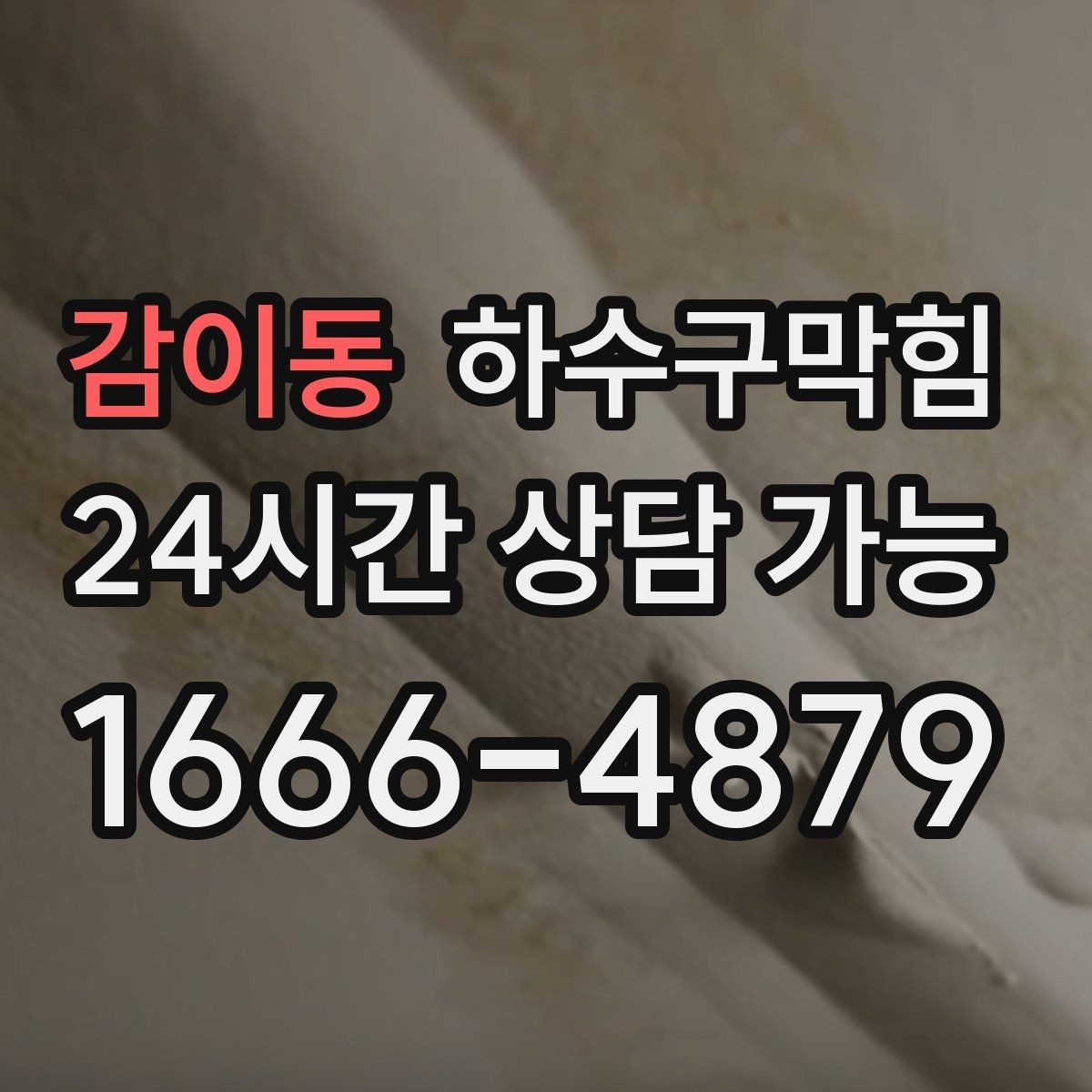 감이동 하수구막힘 세대 문제와 공용 문제 구분하기