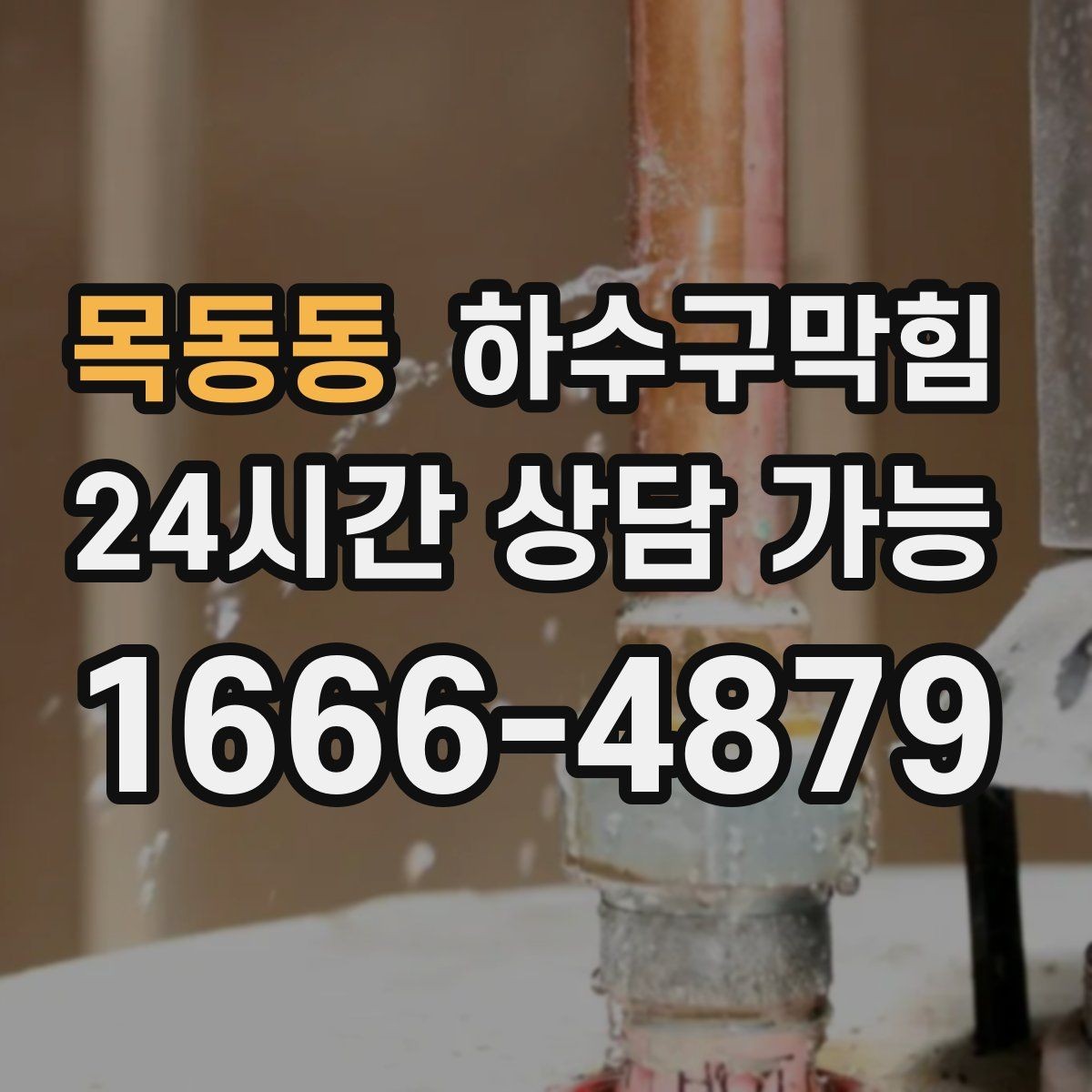 목동동 하수구막힘 매장 출입 매트가 말라 있지 않던 오후