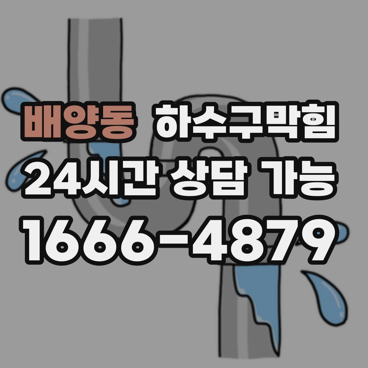 배양동 하수구막힘
