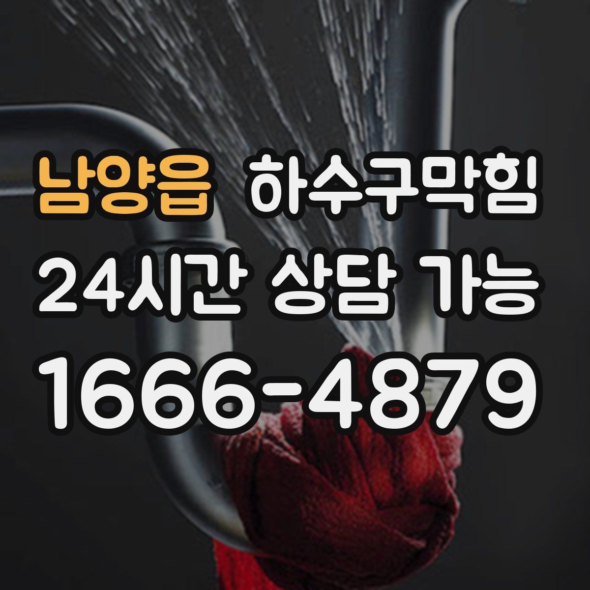 남양읍 하수구막힘 반려동물 집 근처에 모인 작은 단서
