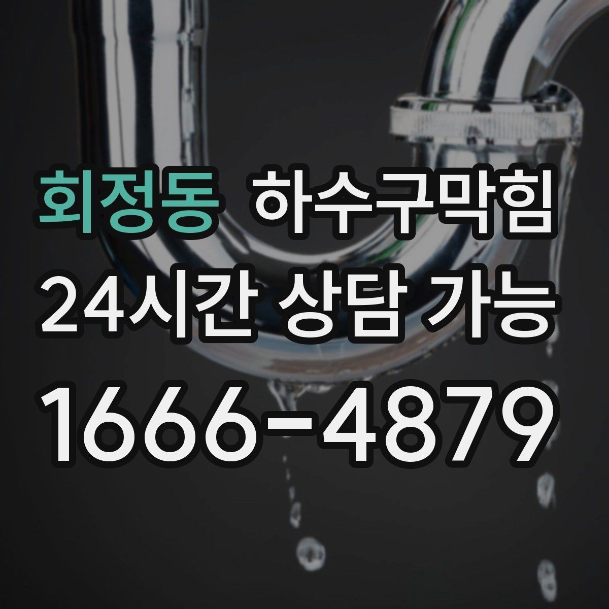 회정동 하수구막힘 옥상 드레인 낙엽 이물 제거