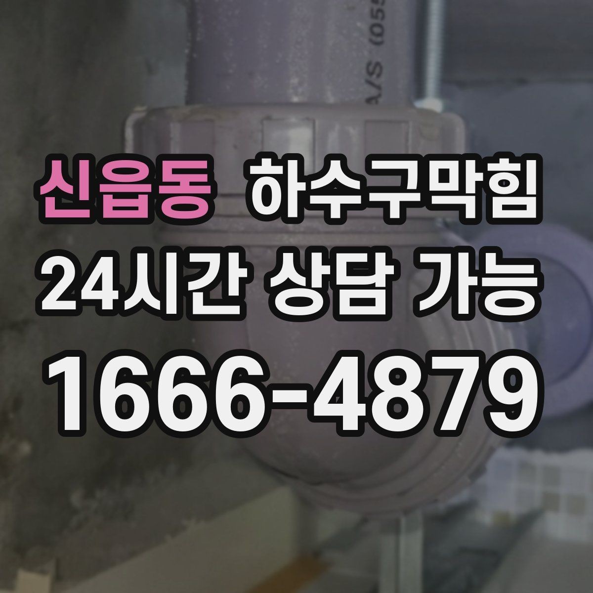 신읍동 하수구막힘 욕실 문턱 넘는 물이 남기는 손상