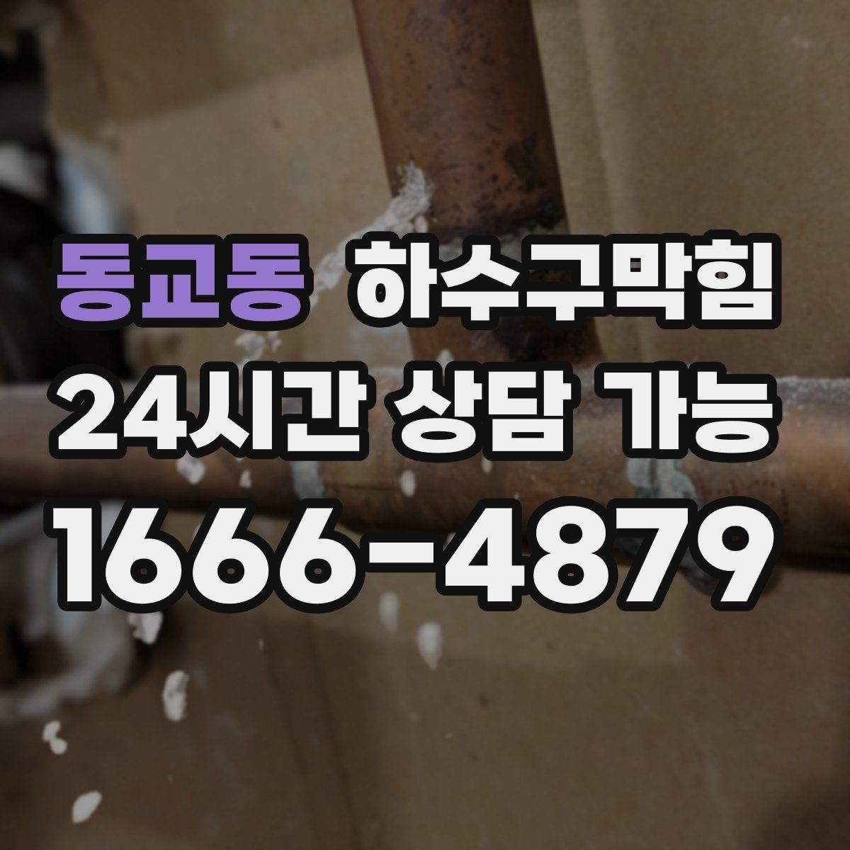 동교동 하수구막힘 셔터 내린 뒤 더 또렷해진 냄새