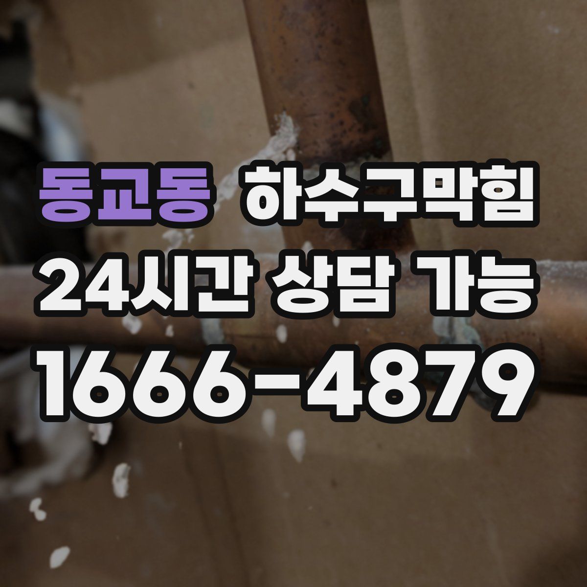 동교동 하수구막힘