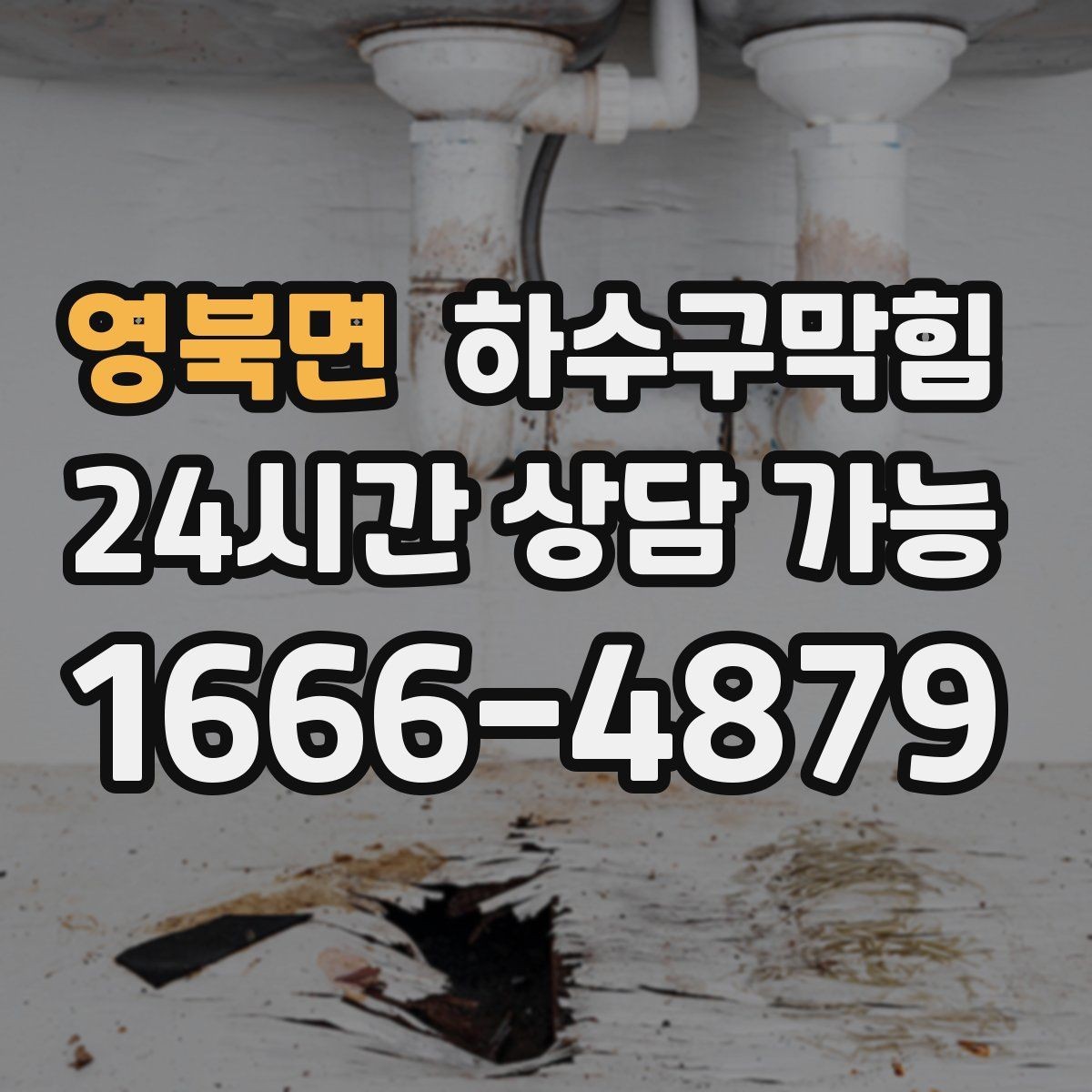 영북면 하수구막힘 아파트 화장실역류가 벨 소리보다 먼저 도착한 날