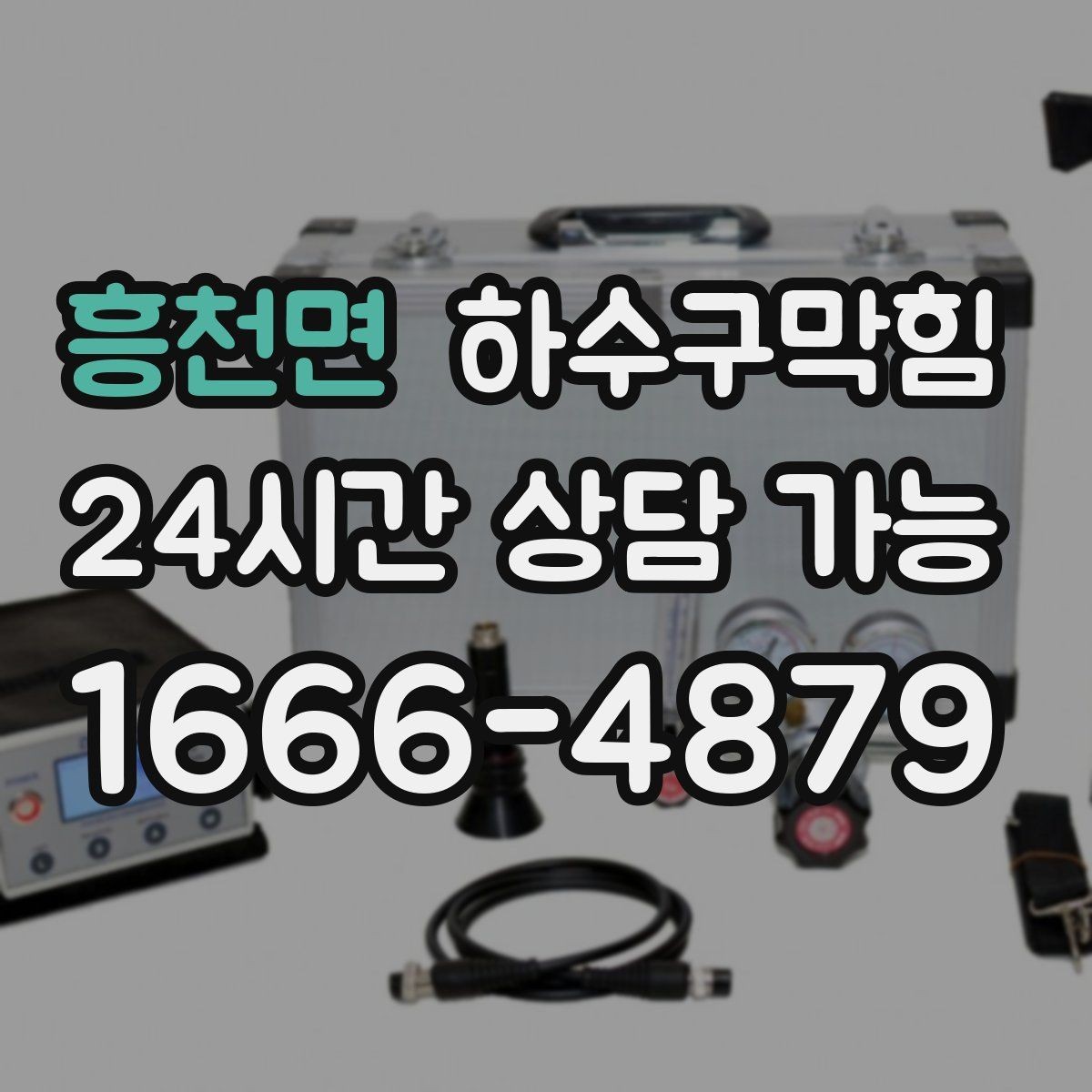 흥천면 하수구막힘 아파트 하수구뚫기와 복도 식물의 기지개