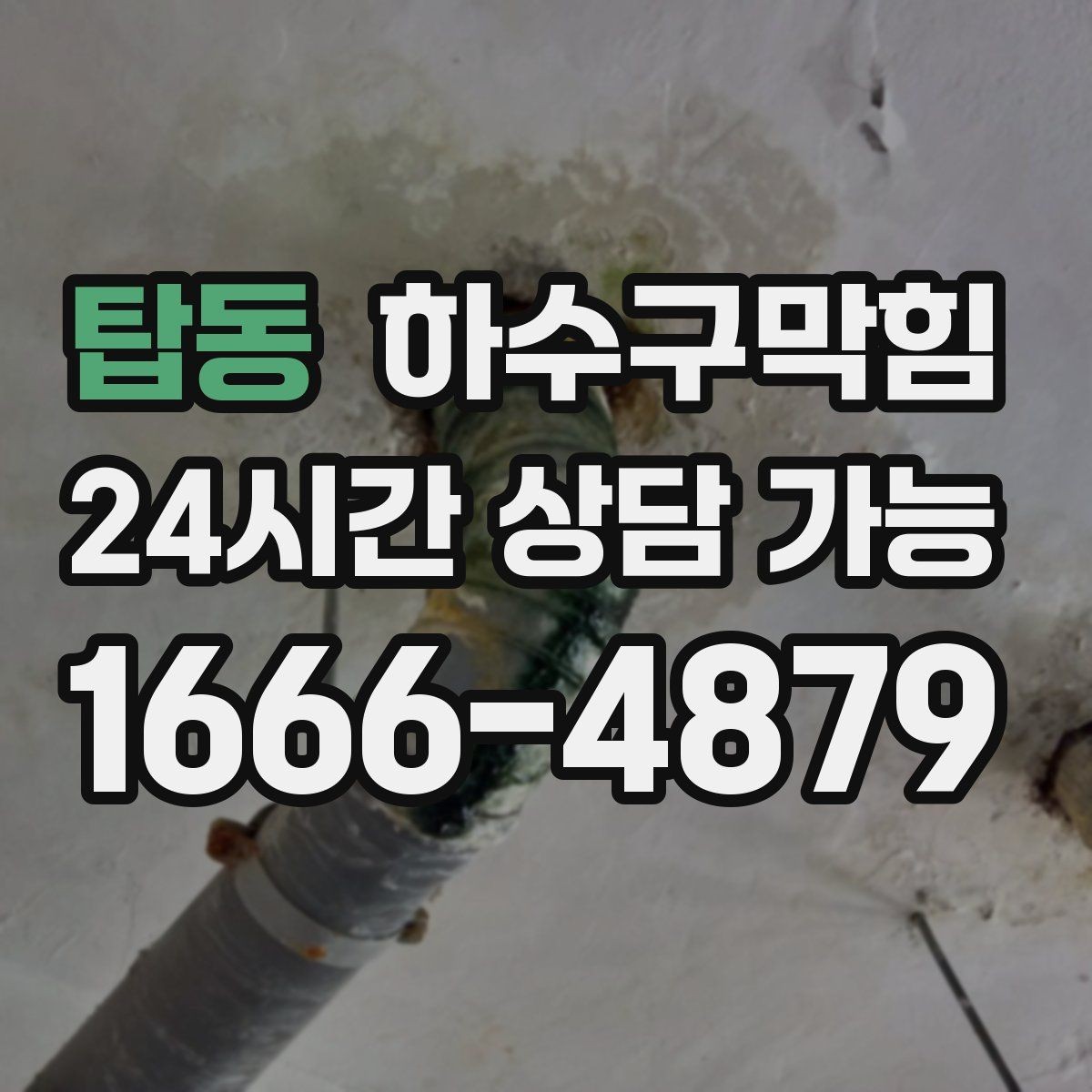 탑동 하수구막힘 장마가 끝나도 이어진 불청객의 정체