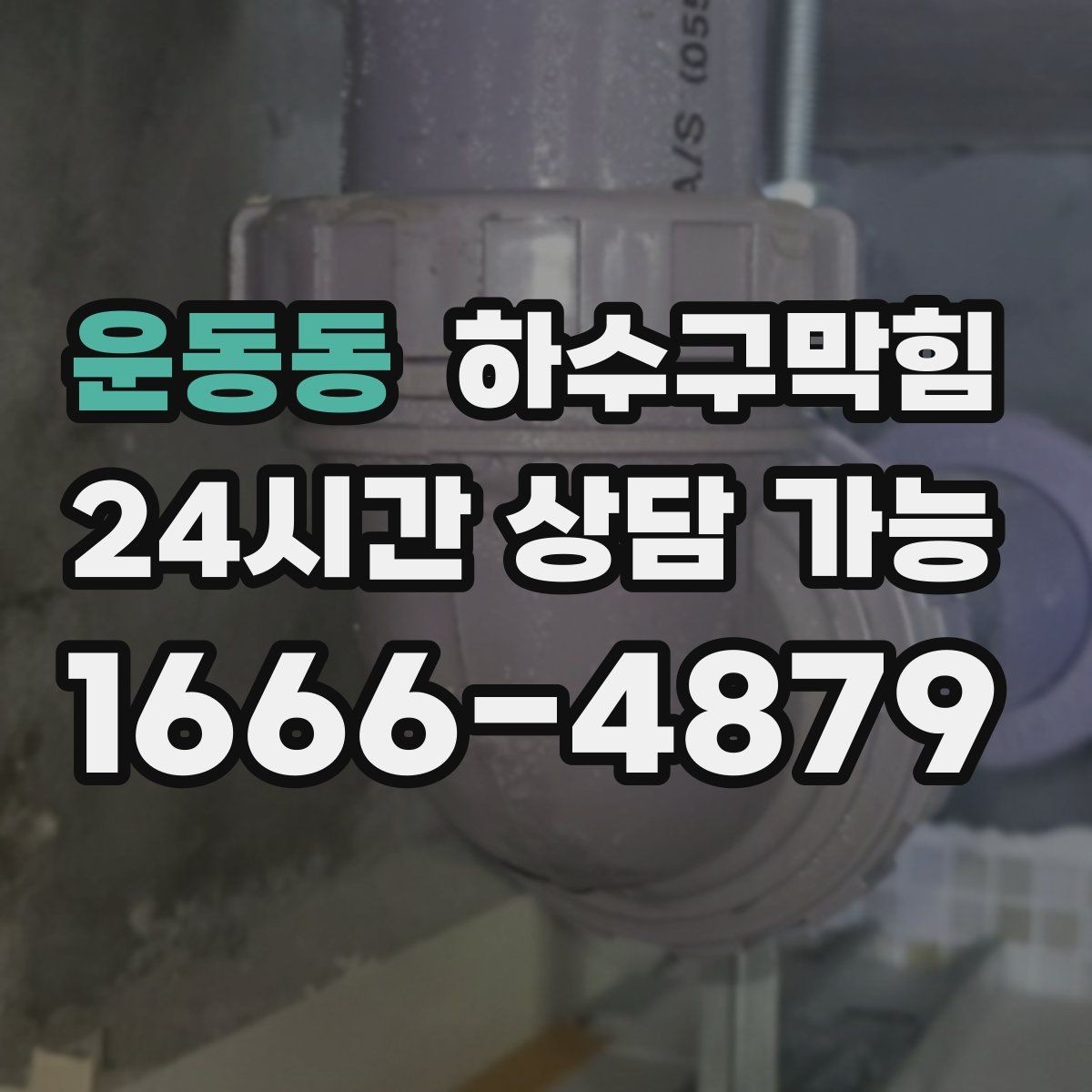 운동동 하수구막힘 식당 배수구막힘으로 주방 동선이 좁아진 날