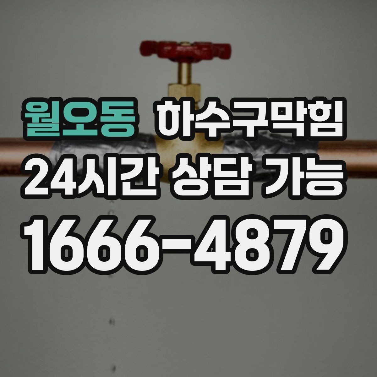 월오동 하수구막힘 빌라 관리비 절감 정기 관리