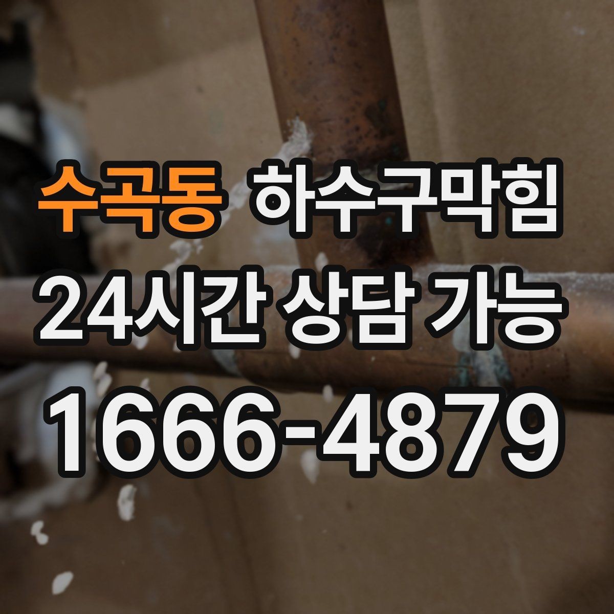 수곡동 하수구막힘 상가 배수구막힘으로 영업 전 긴급 점검