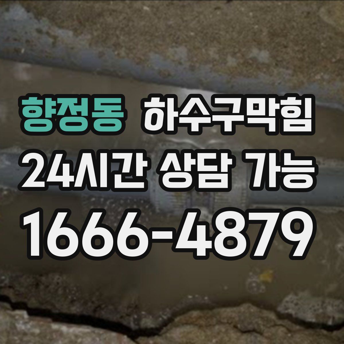 향정동 하수구막힘