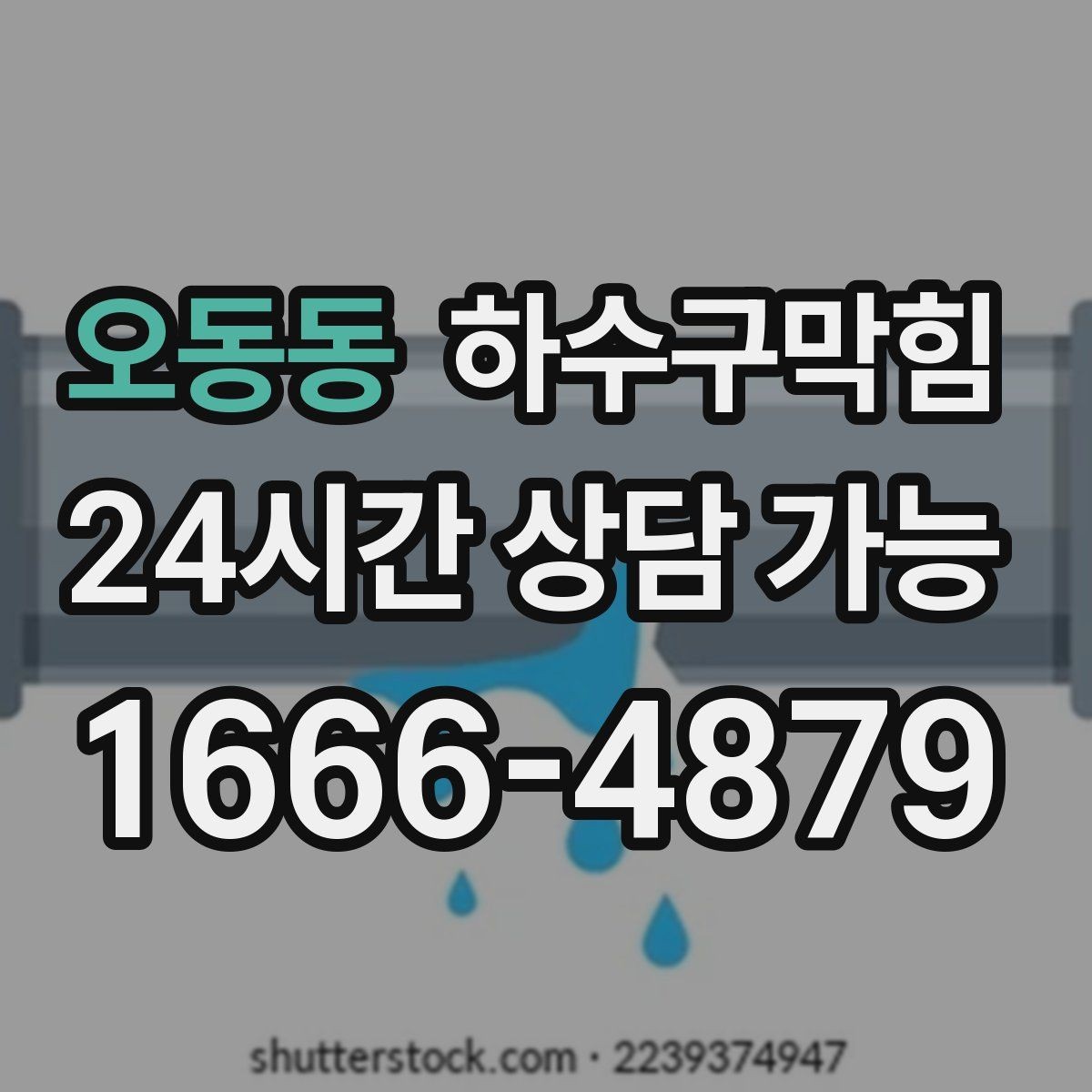 오동동 하수구막힘 식당 화장실역류가 주방 타이밍을 흔든 사례