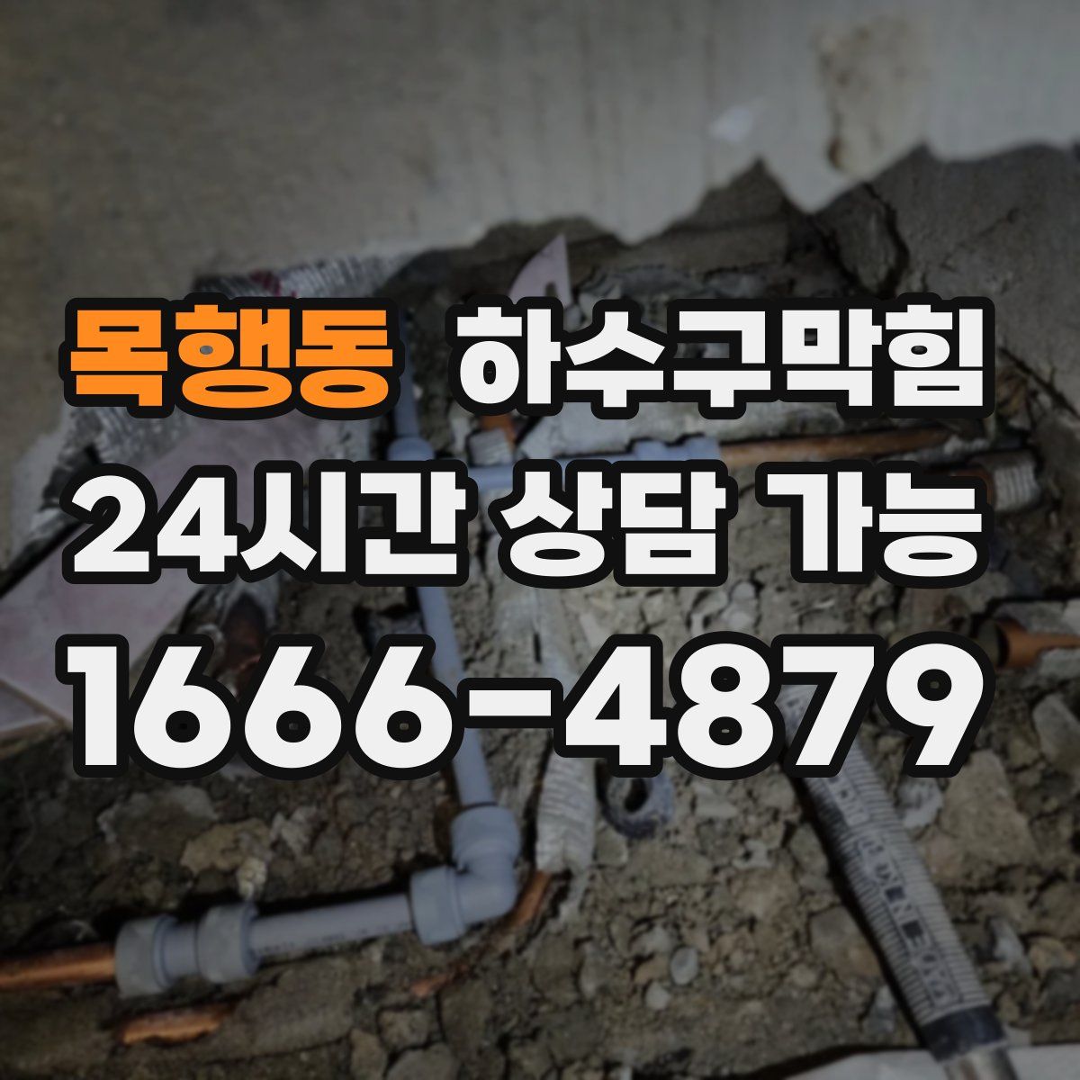 목행동 하수구막힘