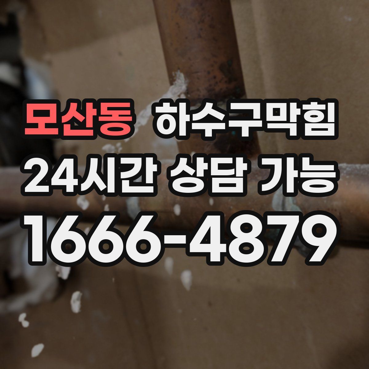 모산동 하수구막힘