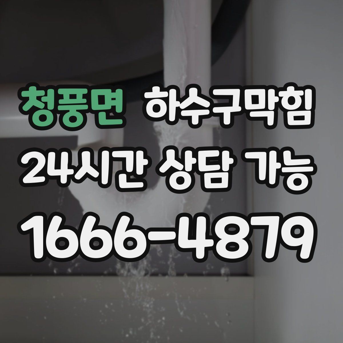 청풍면 하수구막힘 아파트 하수구뚫기와 복도 식물의 기지개