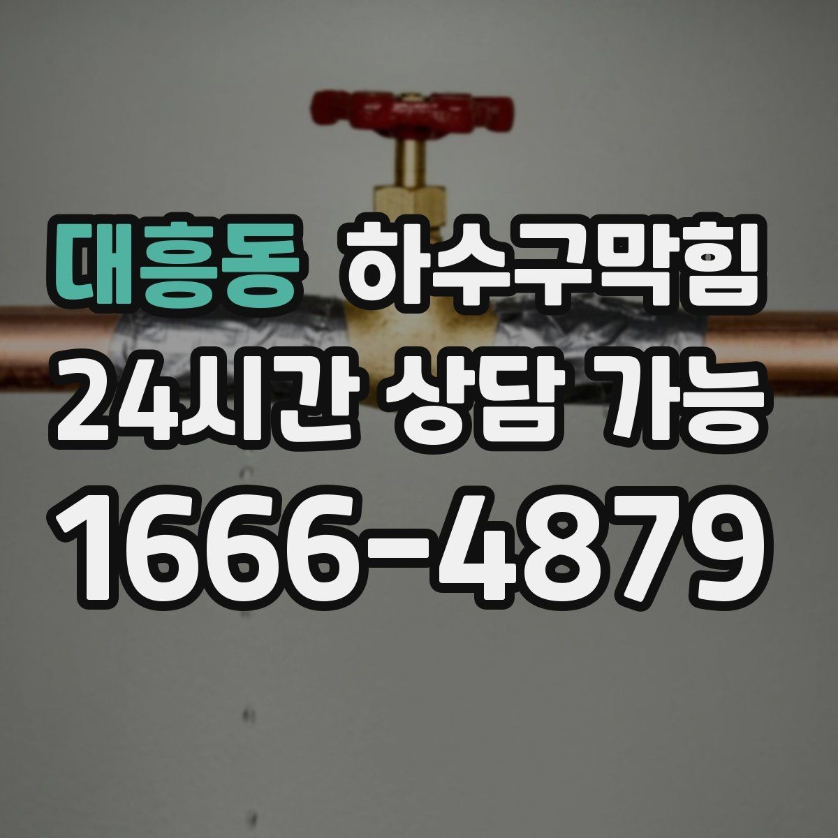 대흥동 하수구막힘 테라스 화분 흙과 배수의 엇박자