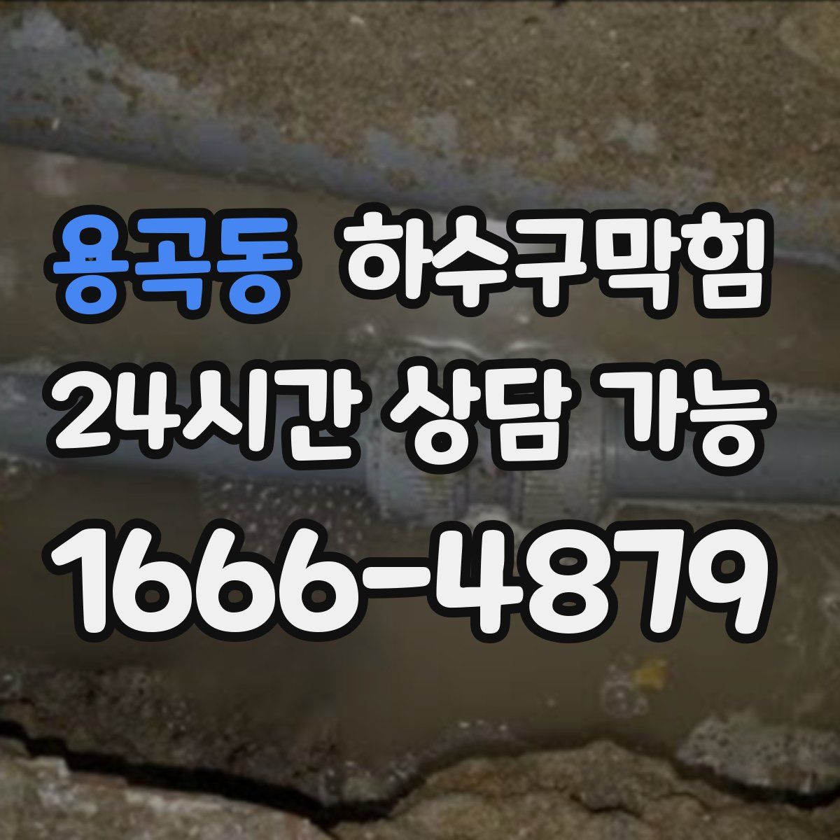 용곡동 하수구막힘