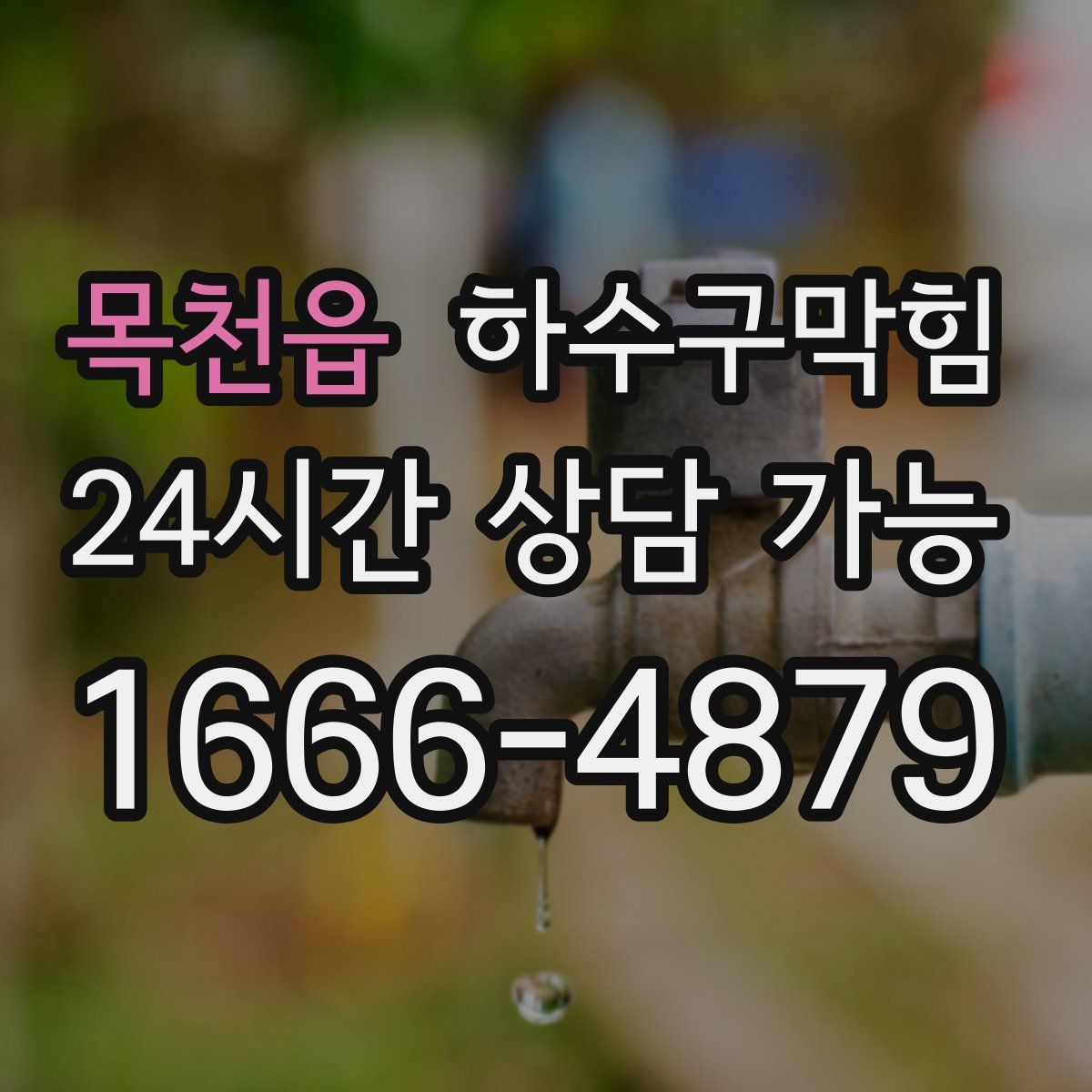 목천읍 하수구막힘