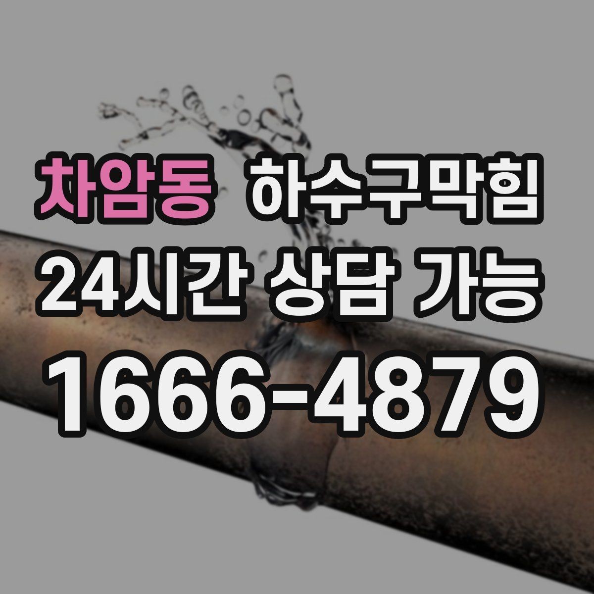 차암동 하수구막힘 집과 상가를 동시에 가진 건물의 숙제