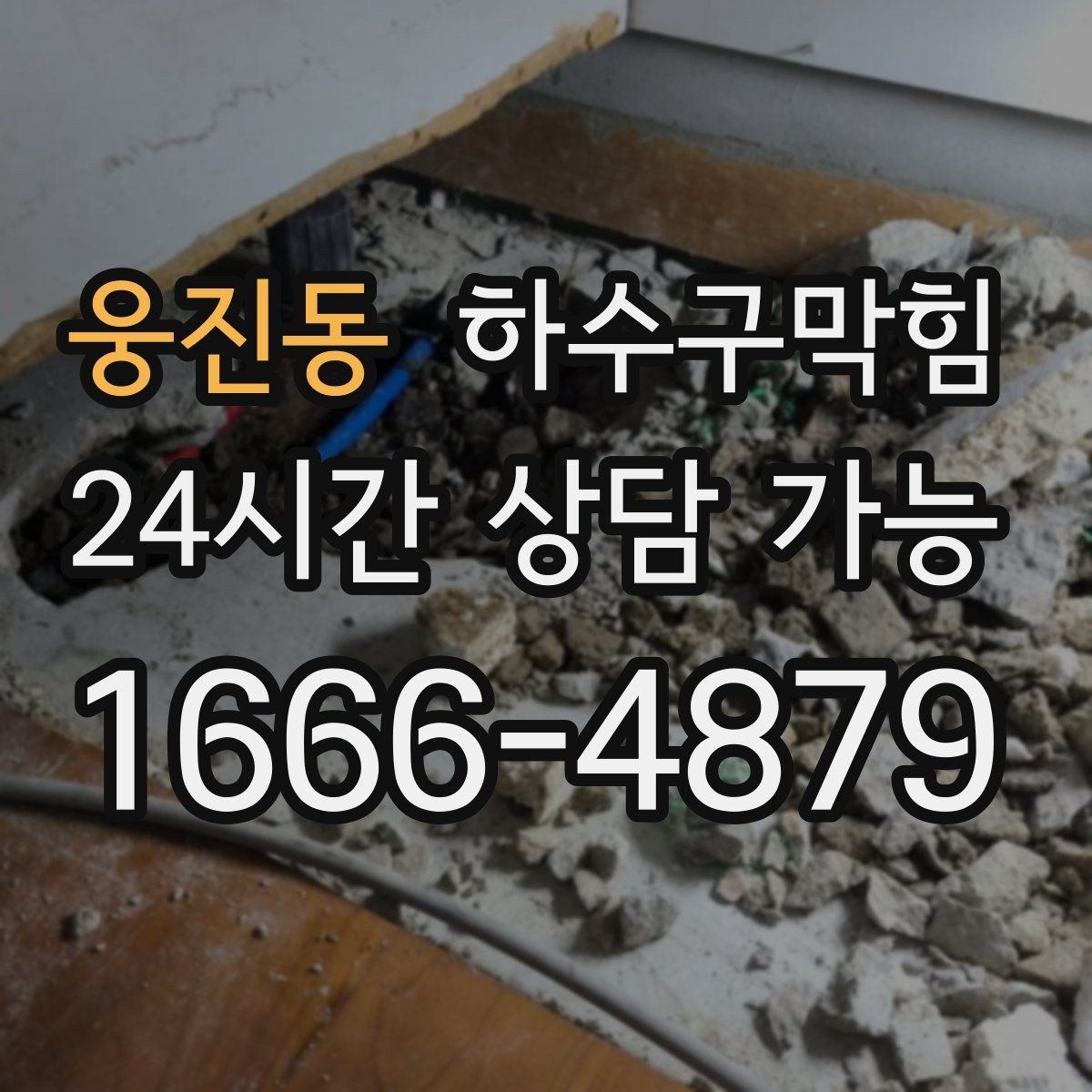 웅진동 하수구막힘