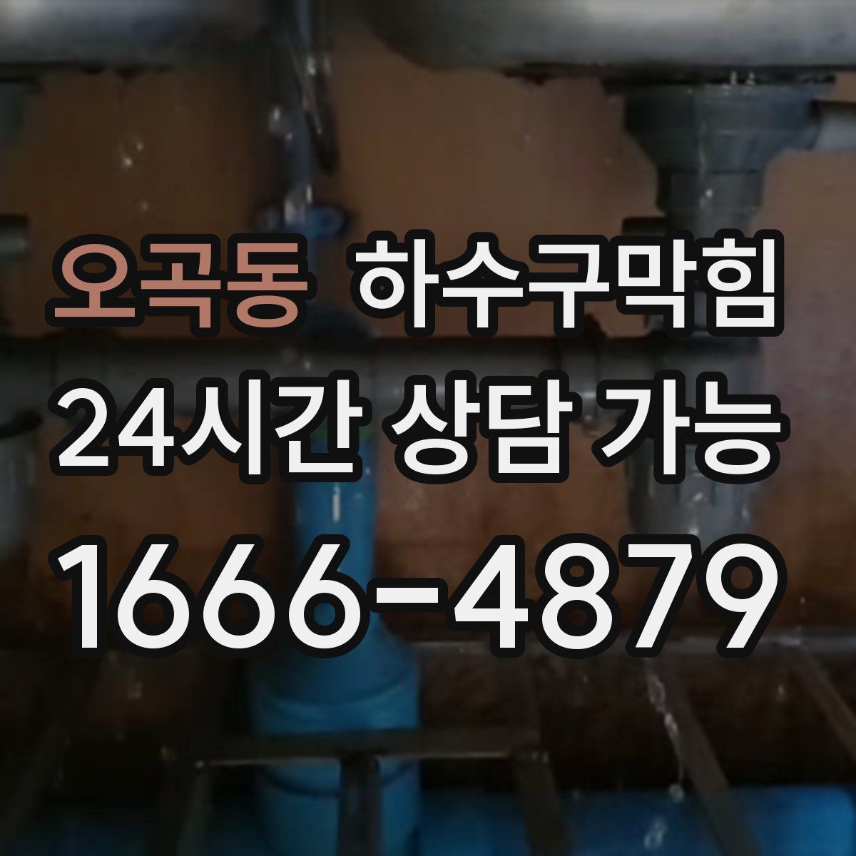 오곡동 하수구막힘