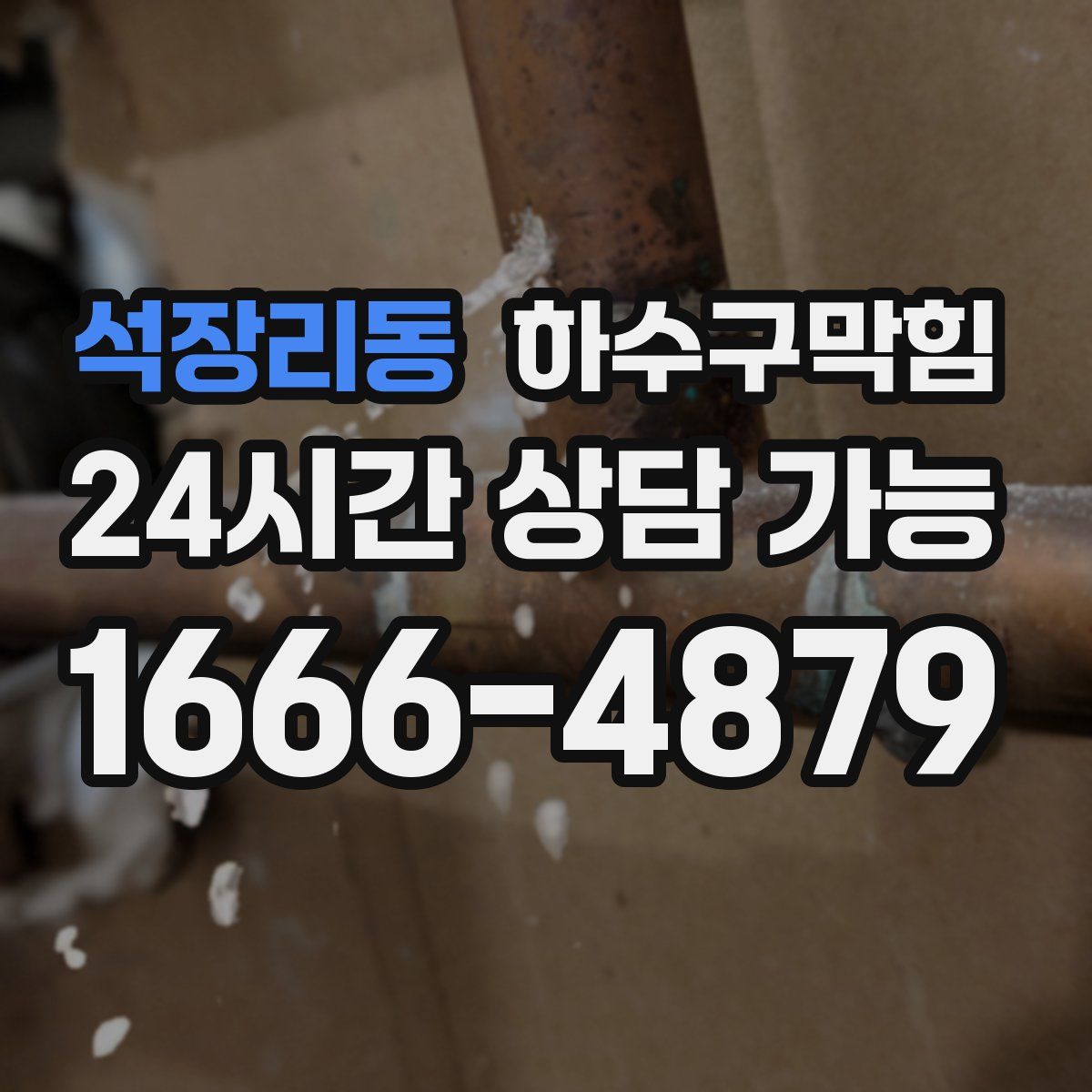 석장리동 하수구막힘