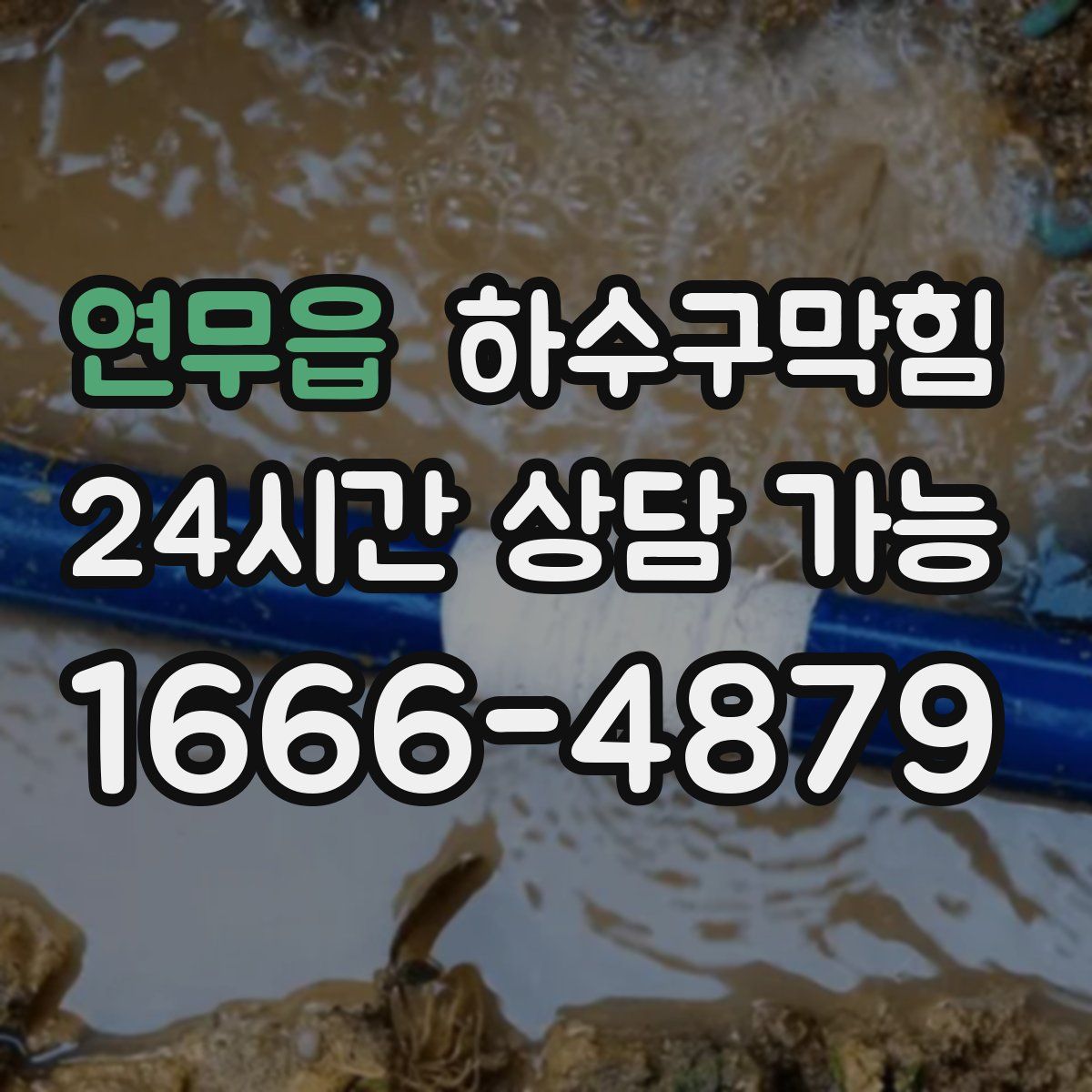 연무읍 하수구막힘