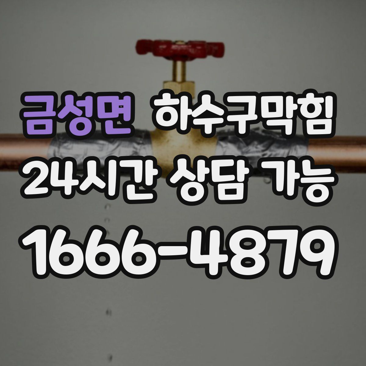 금성면 하수구막힘