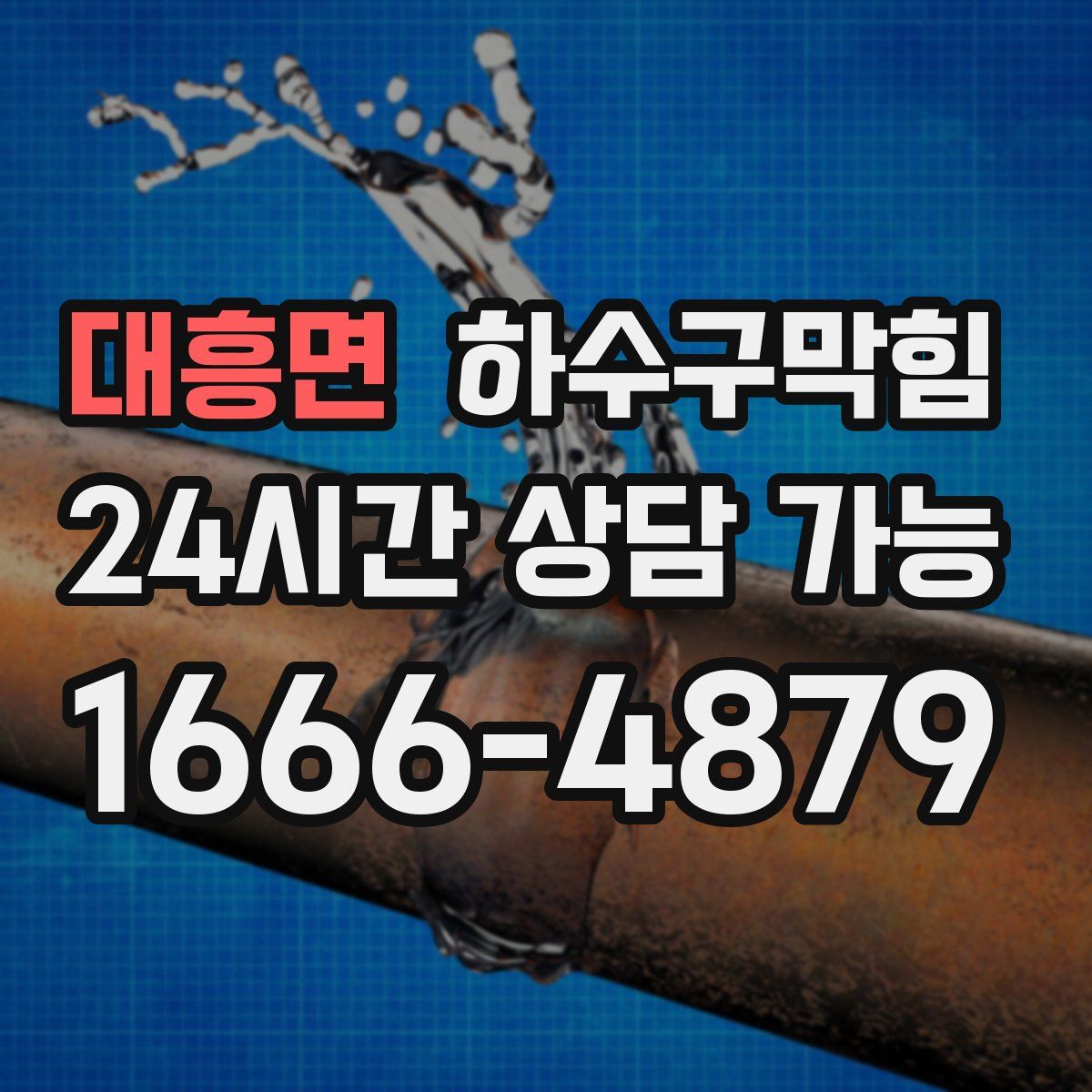 대흥면 하수구막힘