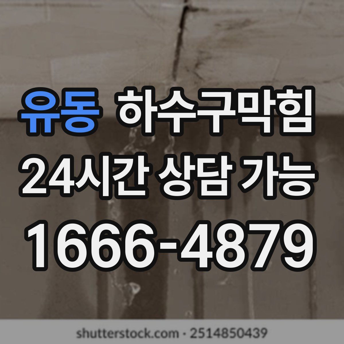 유동 하수구막힘